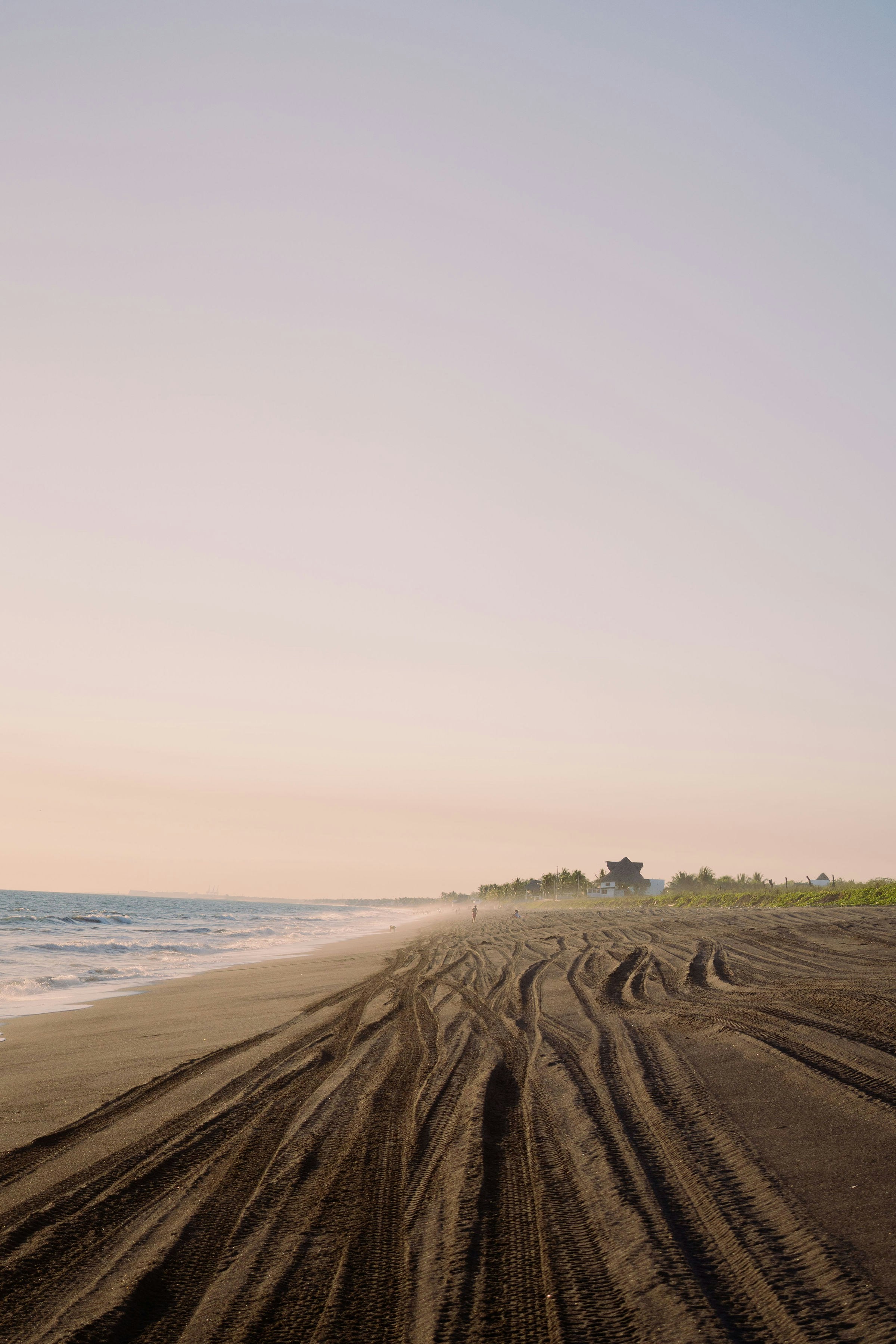 Photo by armando_p1cs