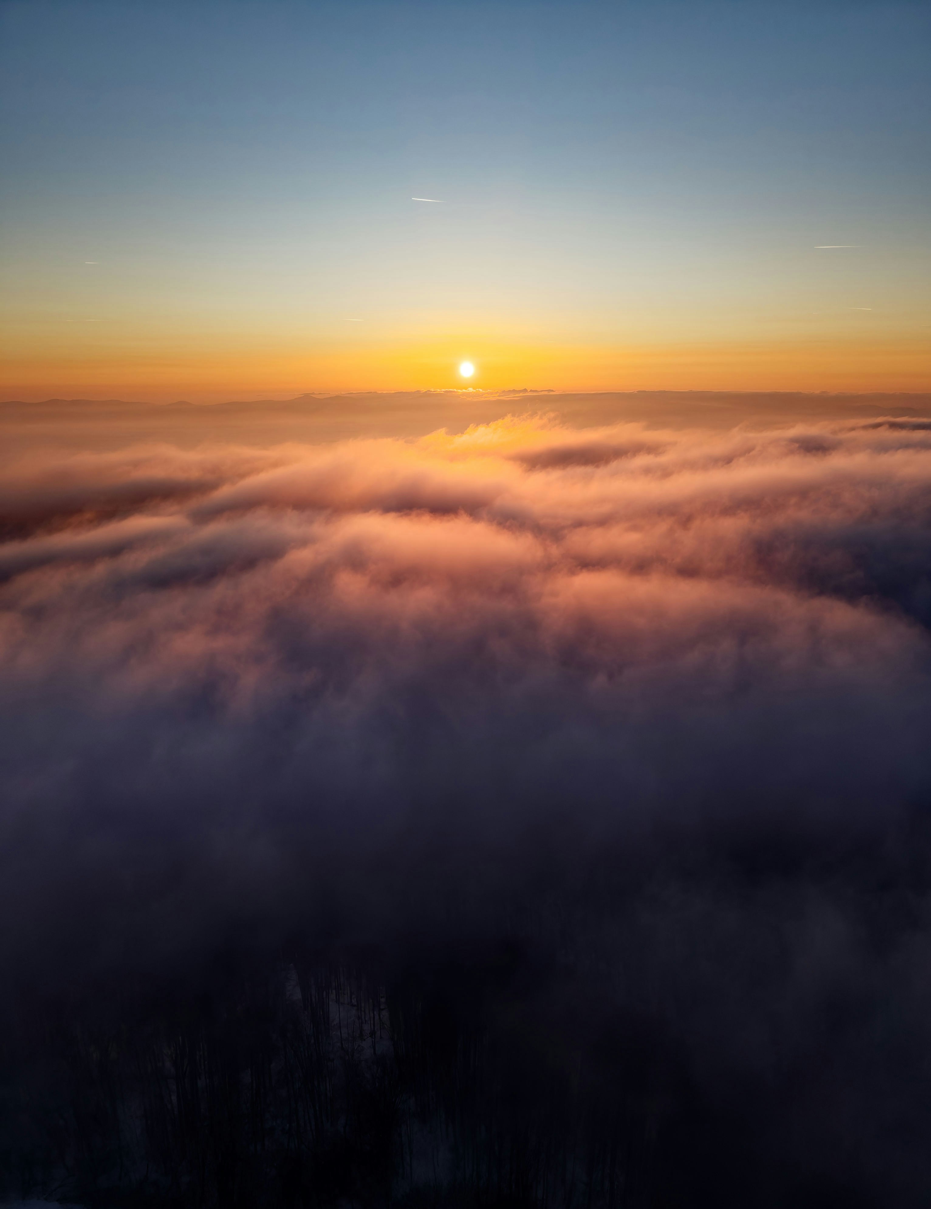 Photo by illes_cristi