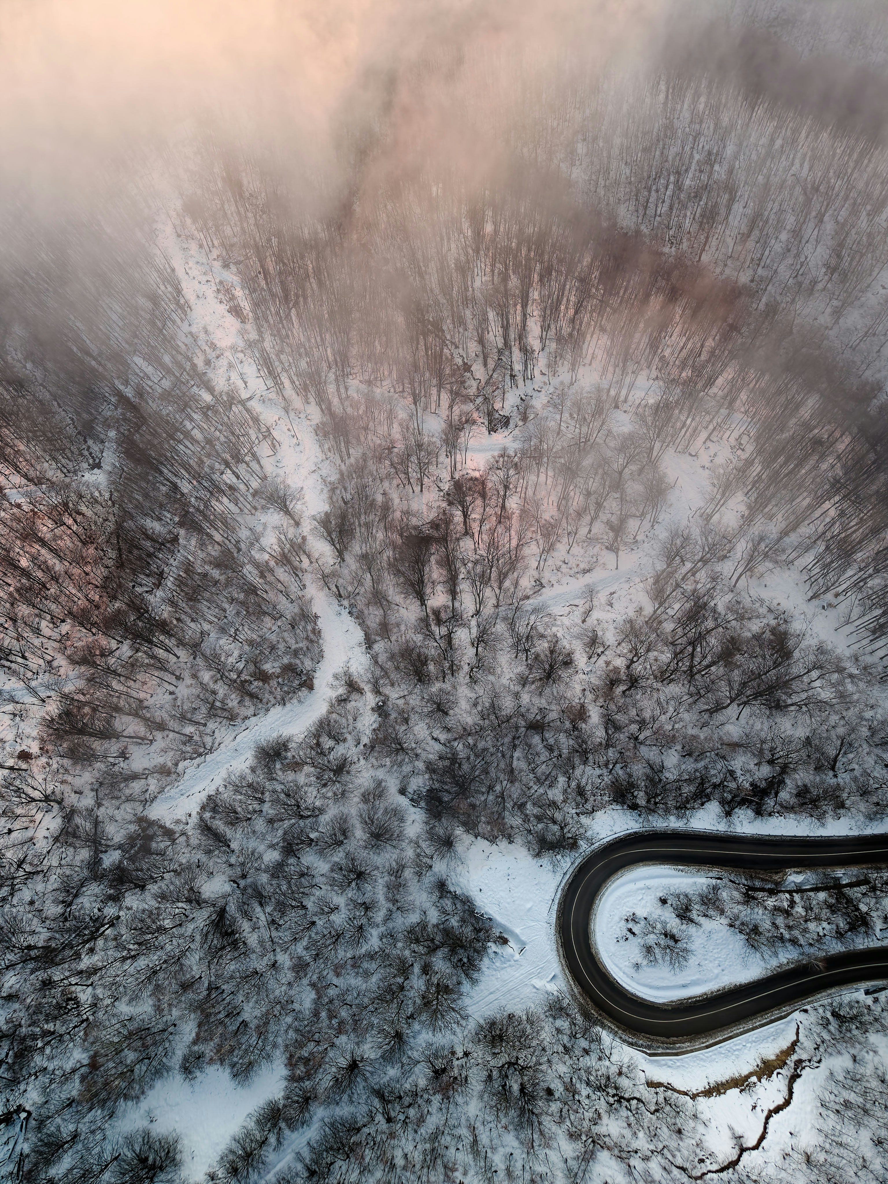 Winding road through a snow-covered forest