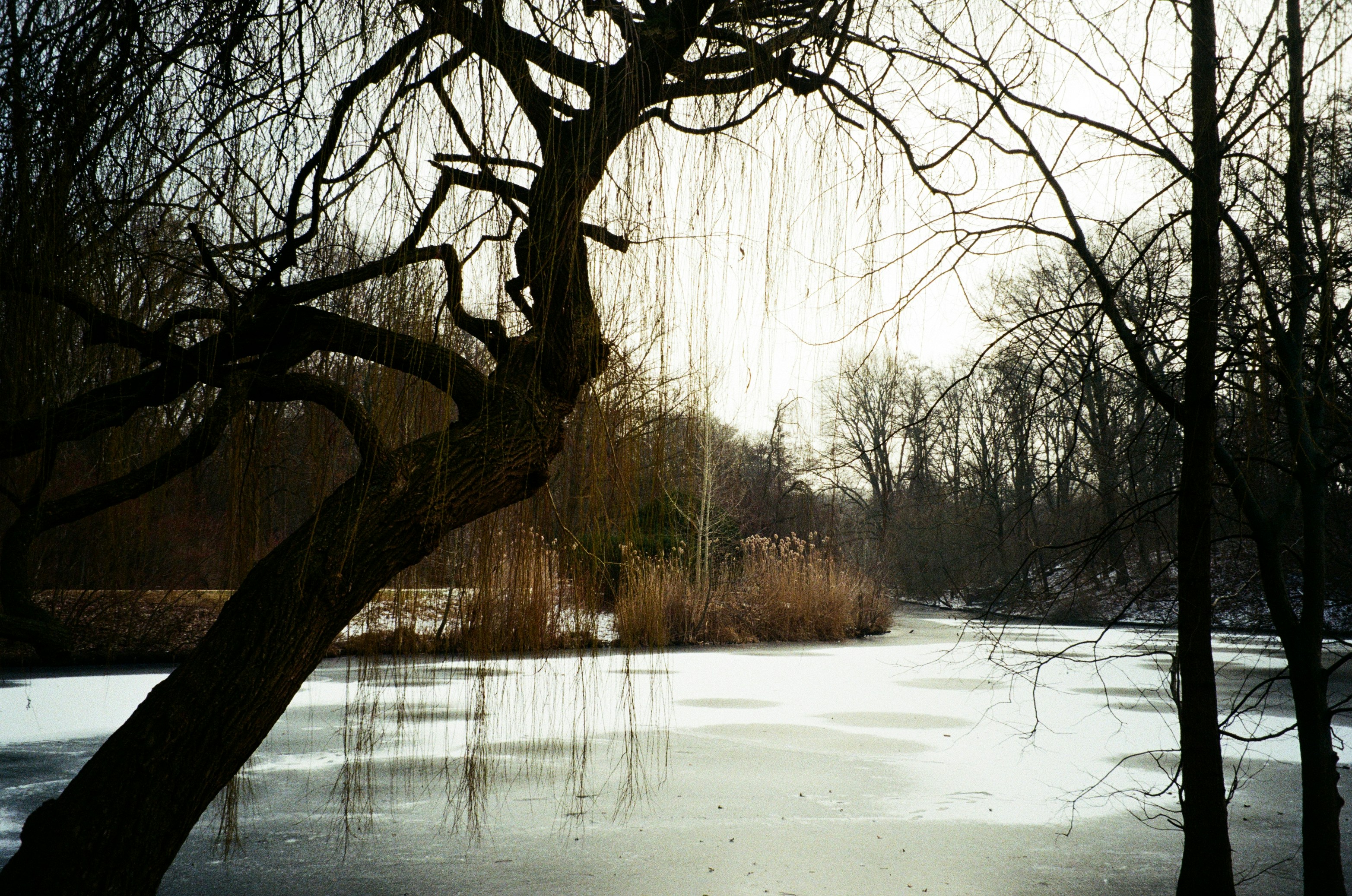 Photo by _kseniademenko