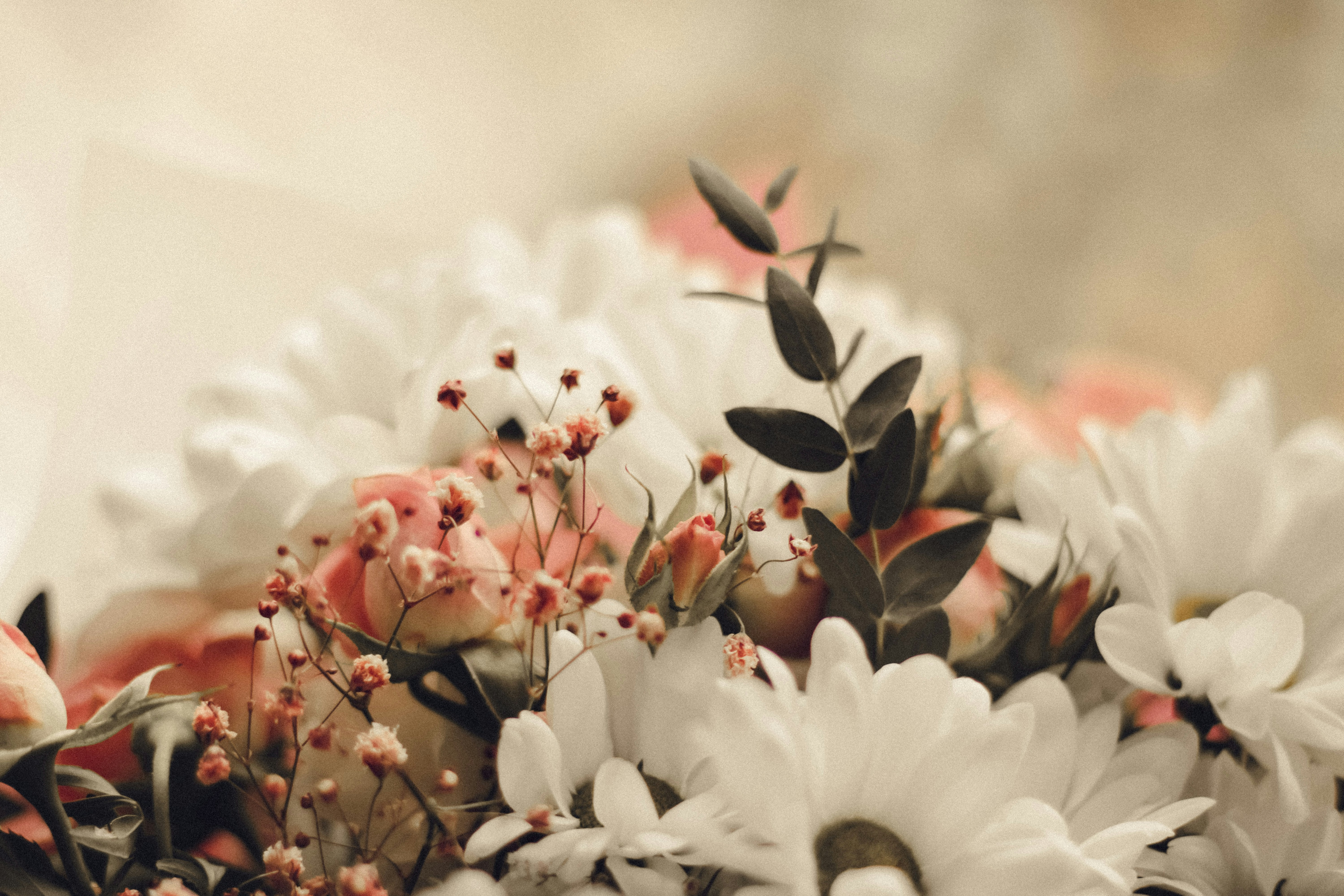 Photo by mineral_of_demon