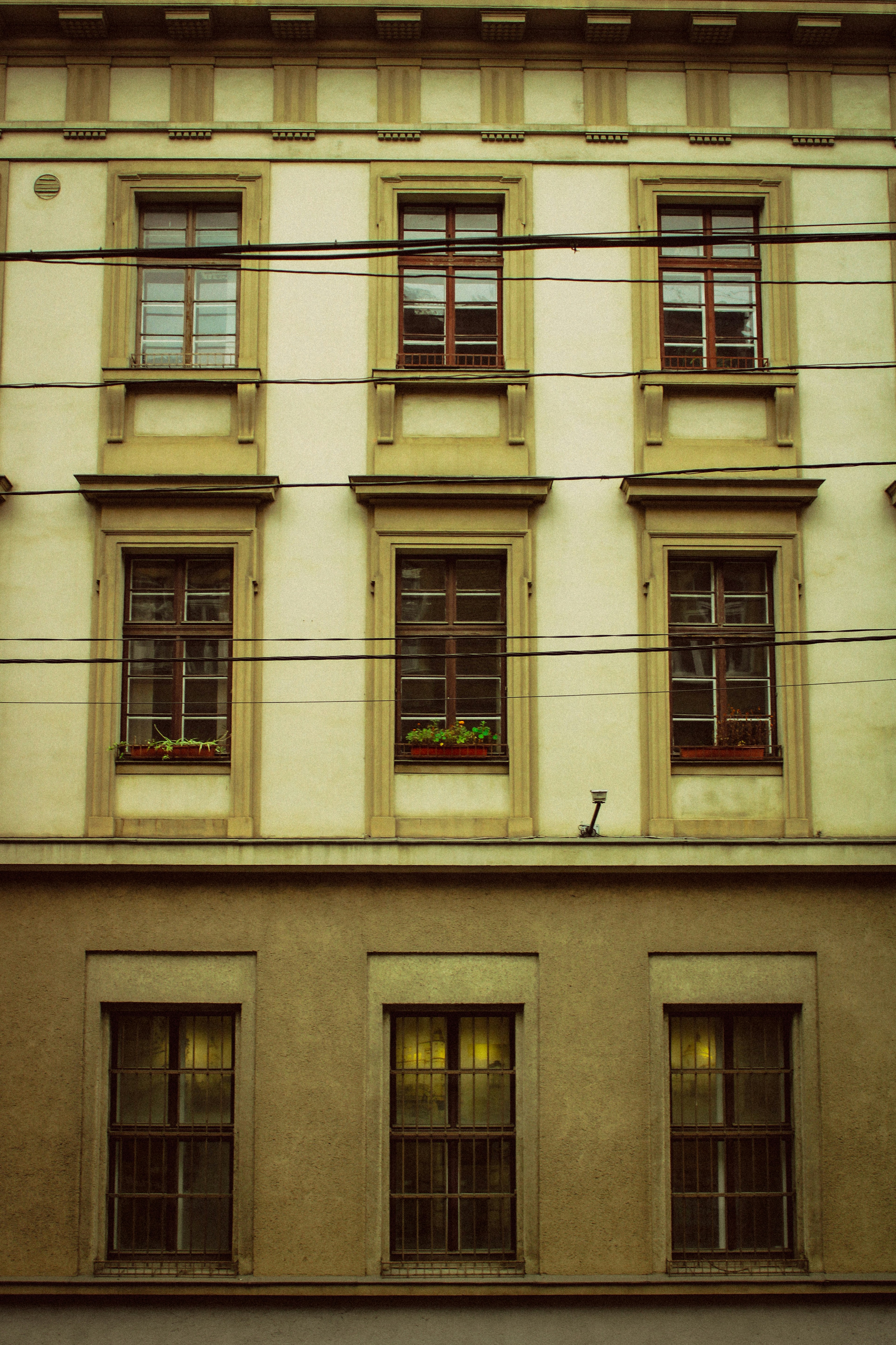 Photo by mineral_of_demon