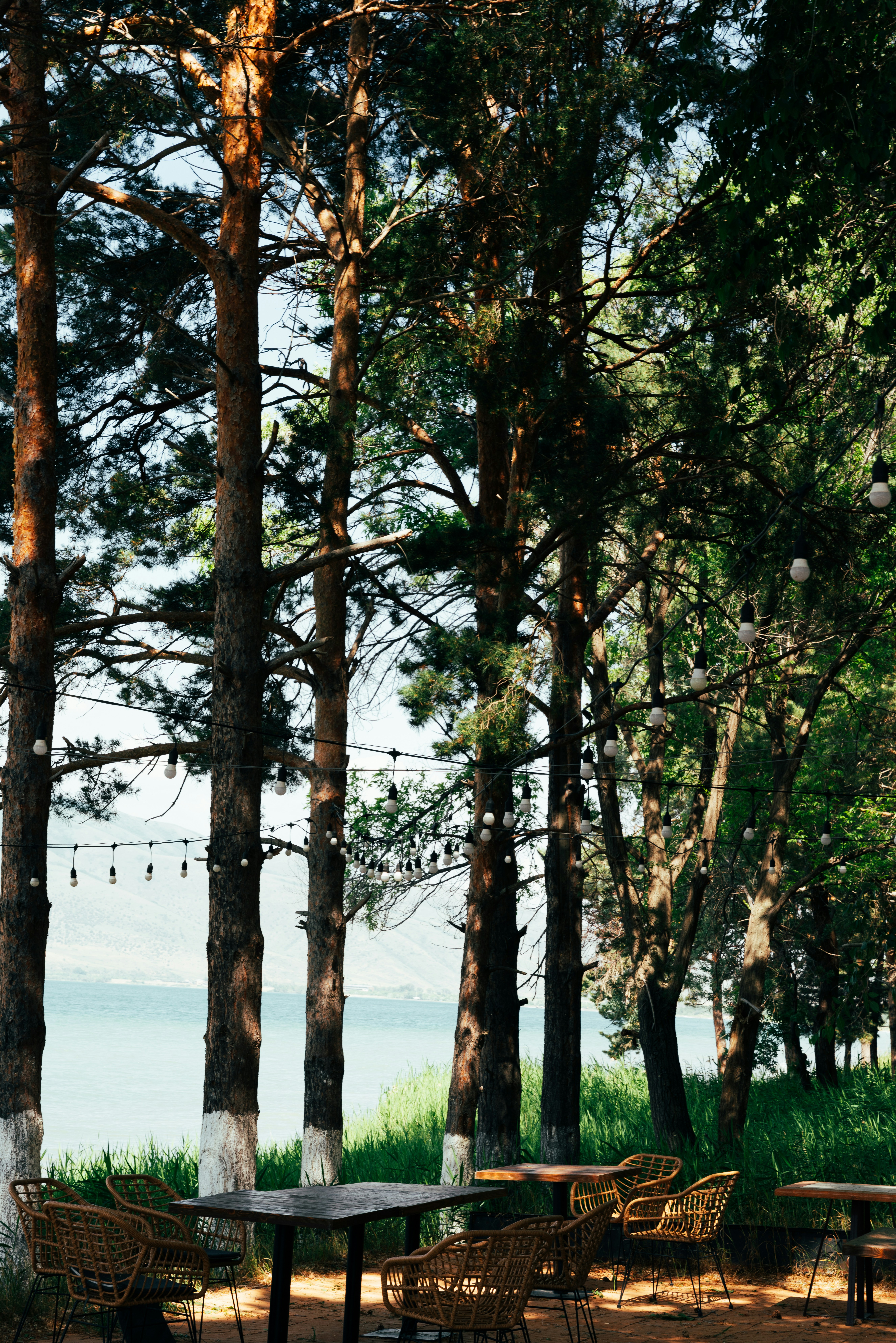 Photo by nellie_adamyan