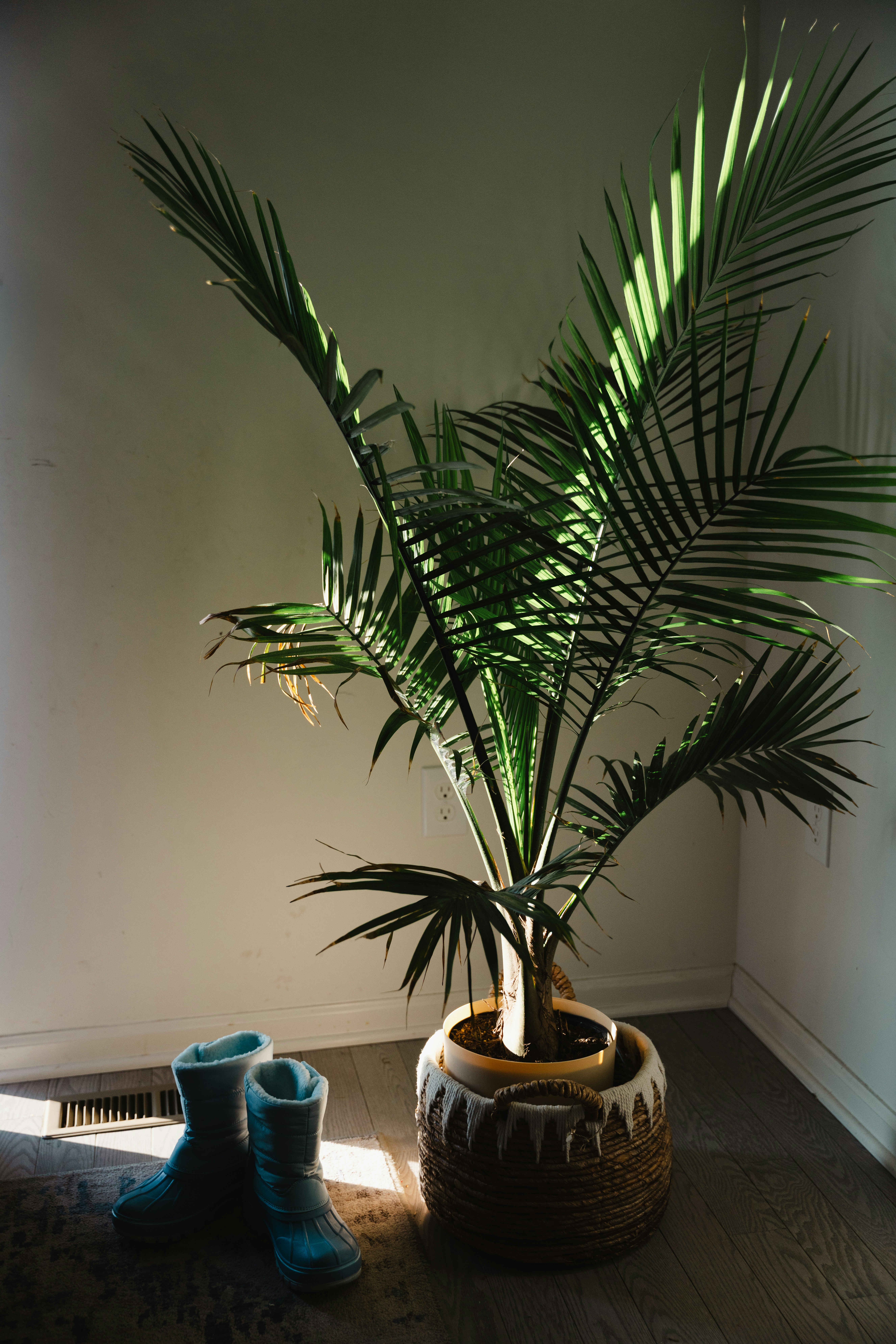 Photo by nellie_adamyan