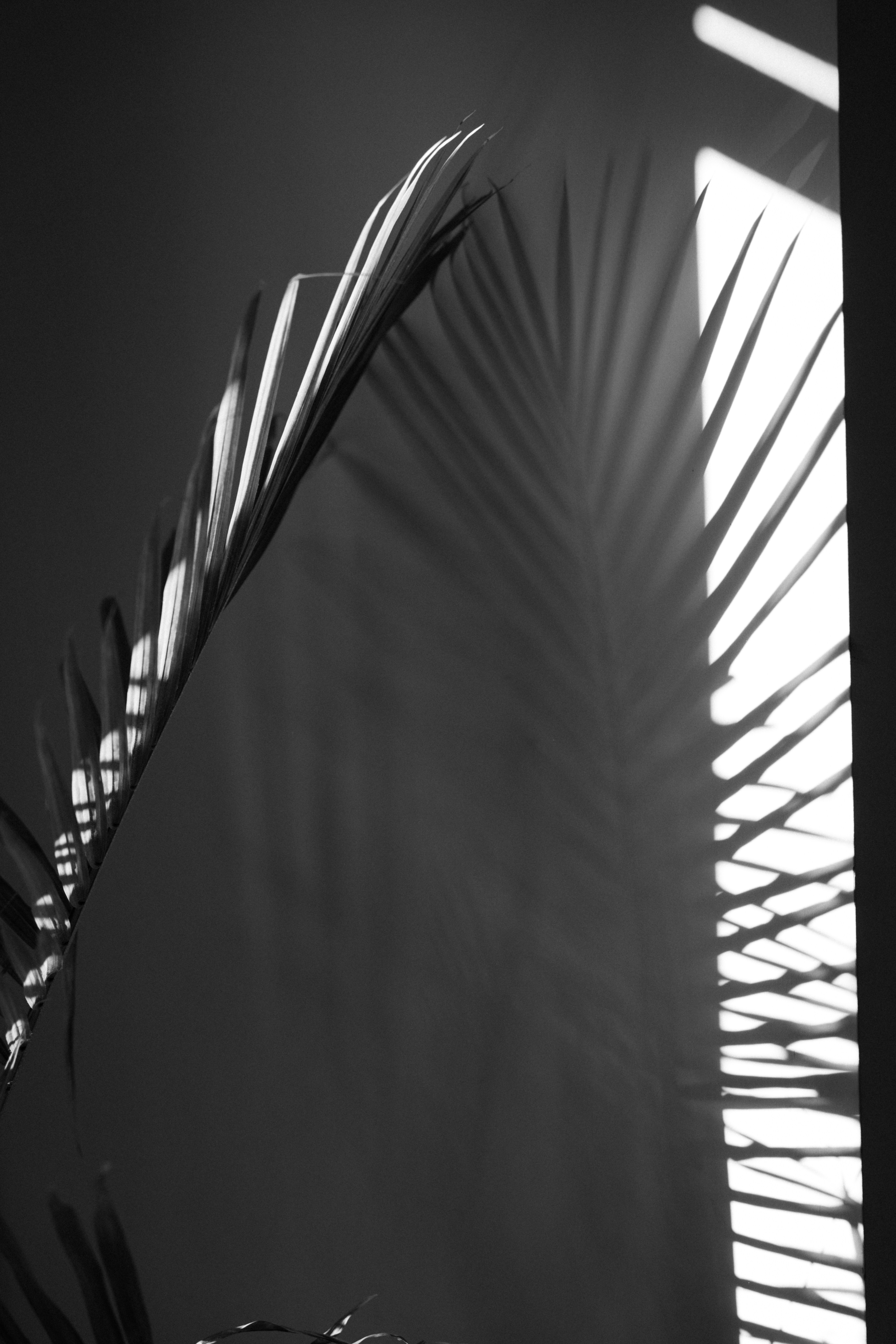 Photo by nellie_adamyan