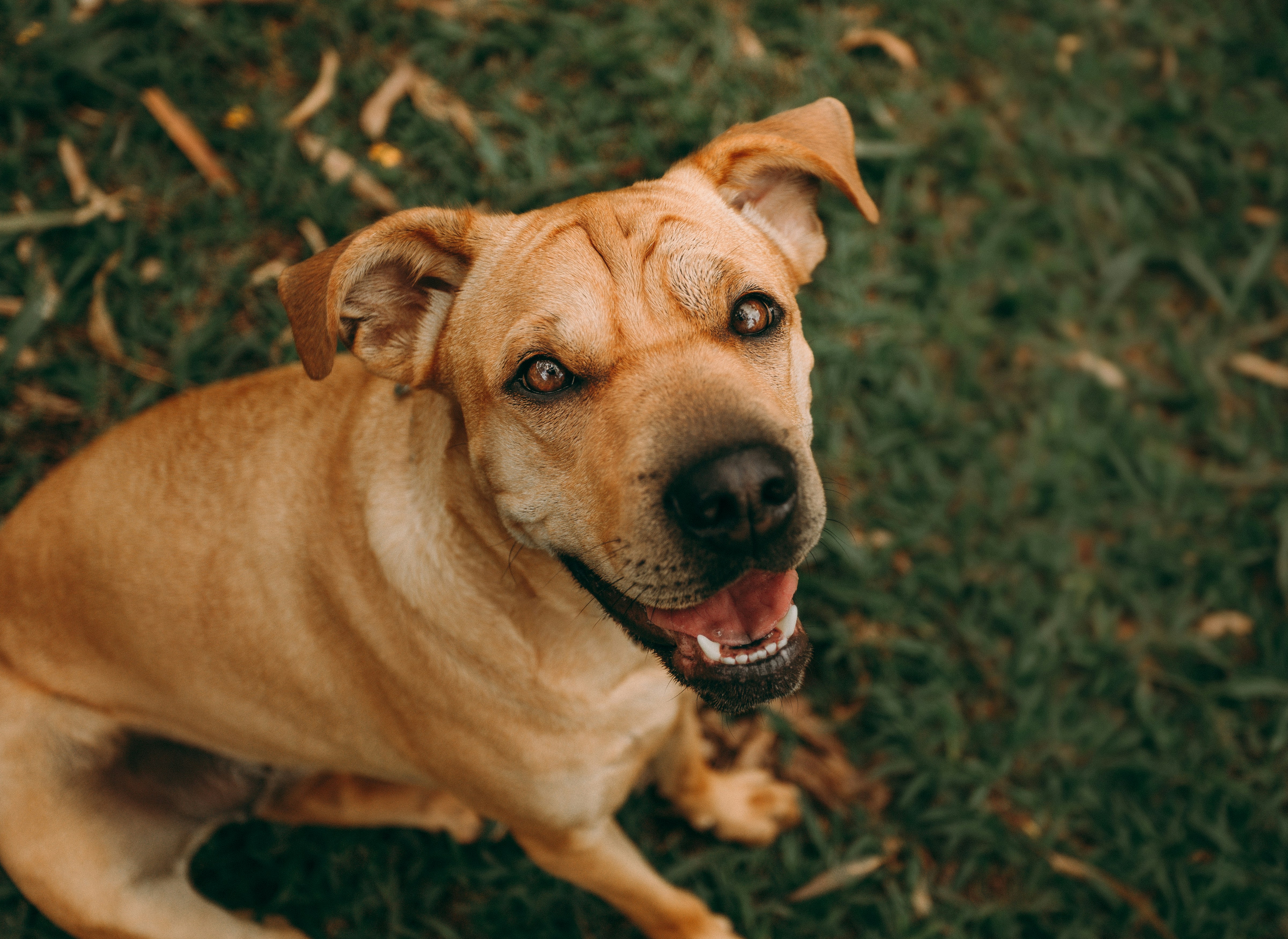 Photo by helenalopesph