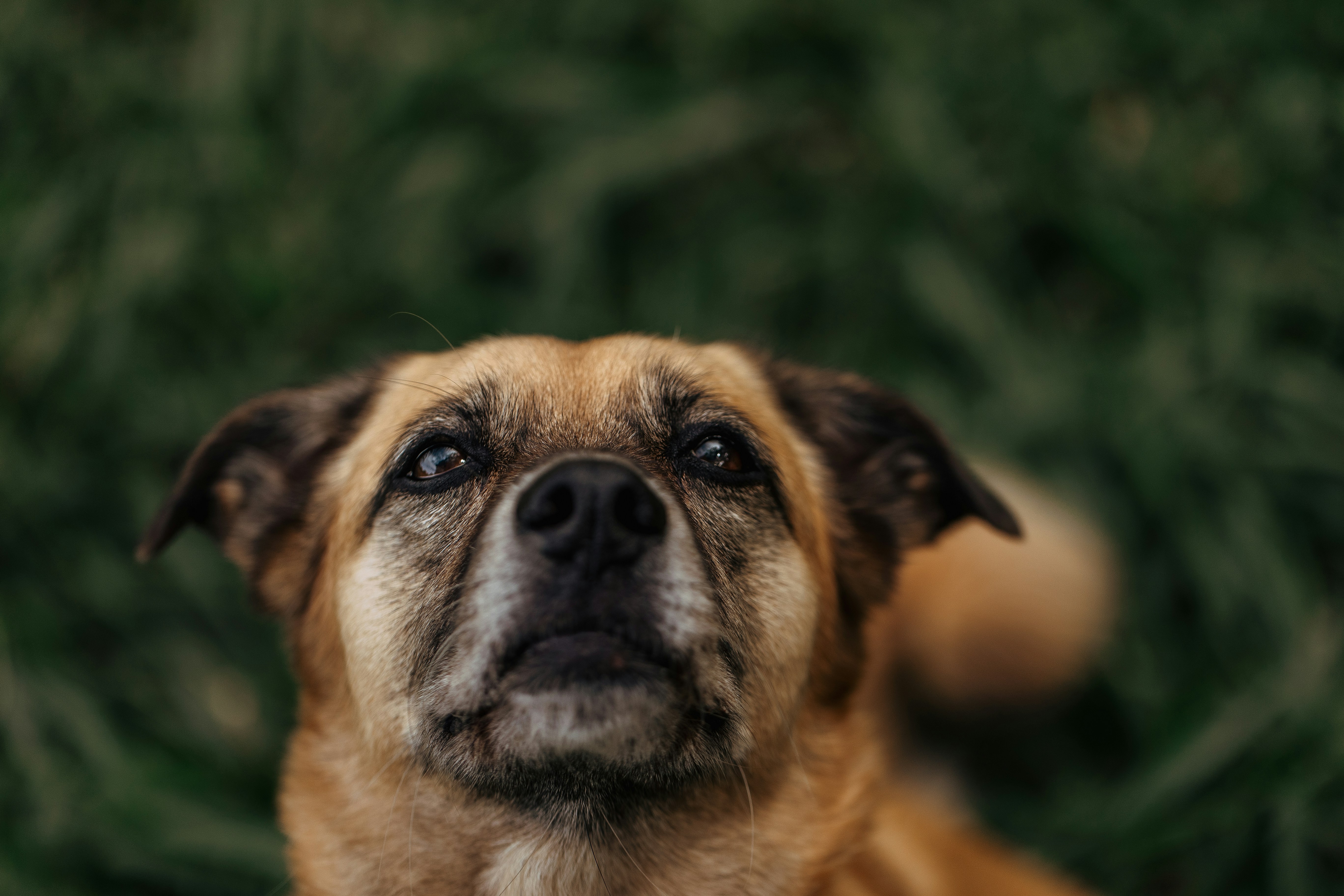 Photo by helenalopesph