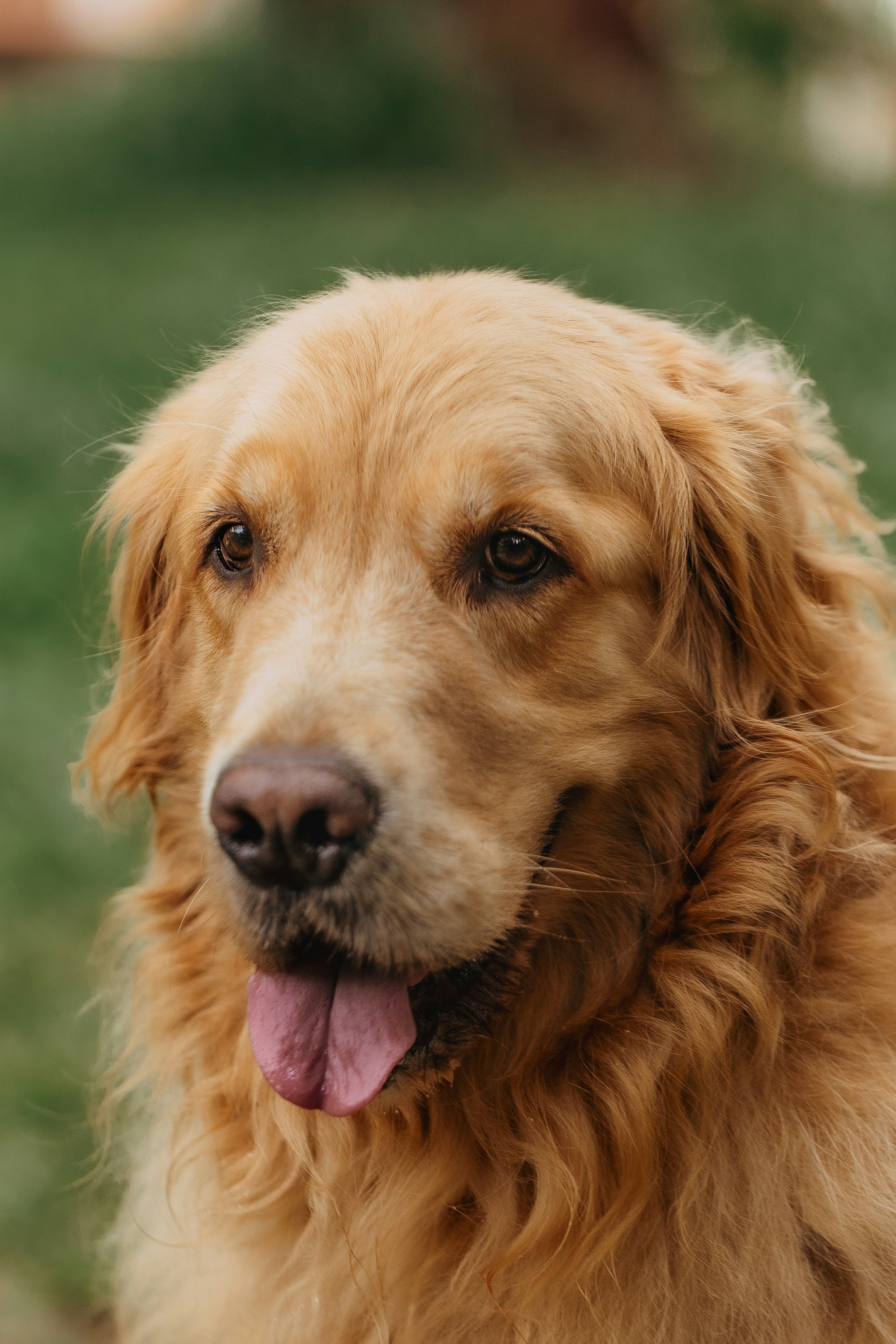 Photo by helenalopesph