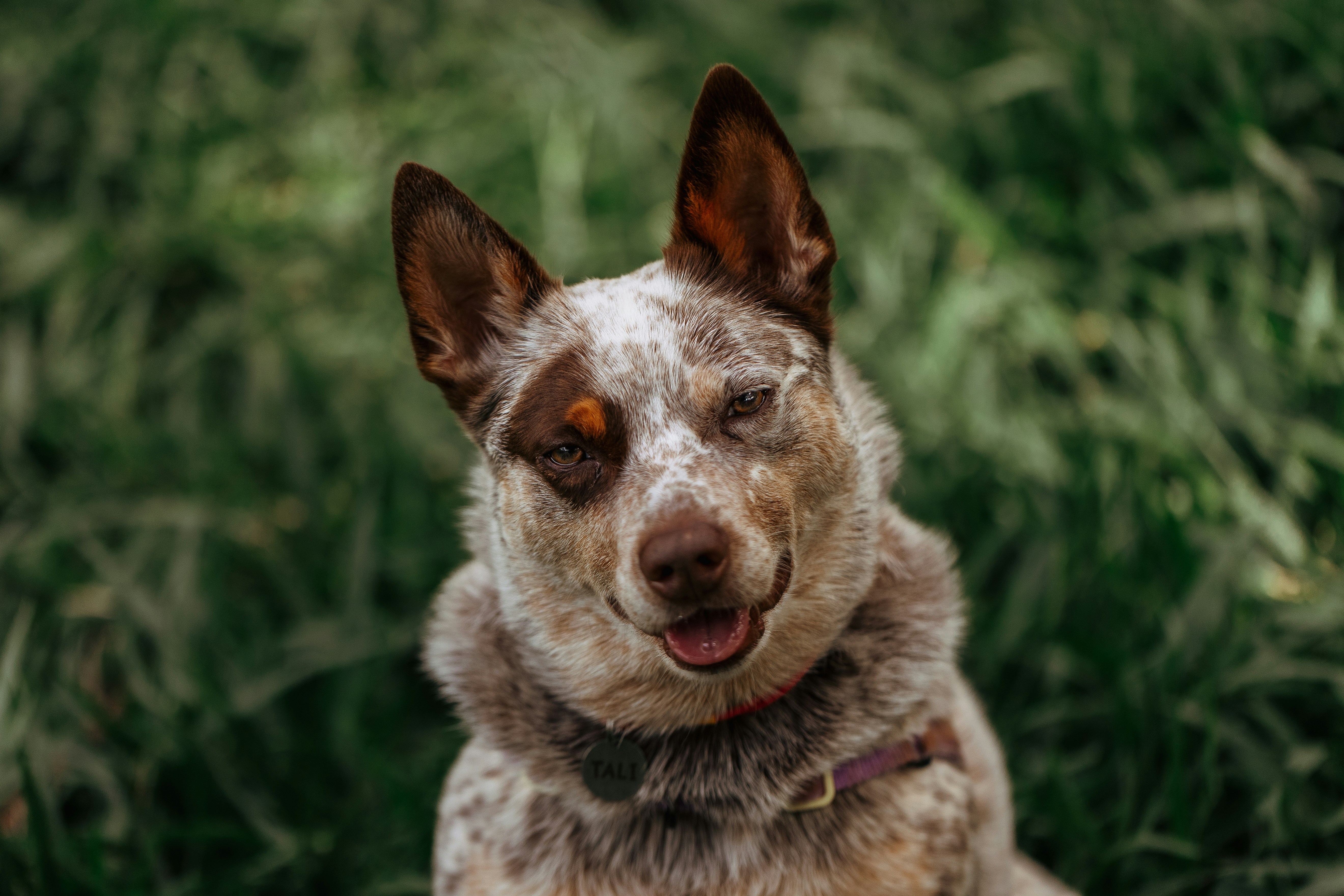 Photo by helenalopesph