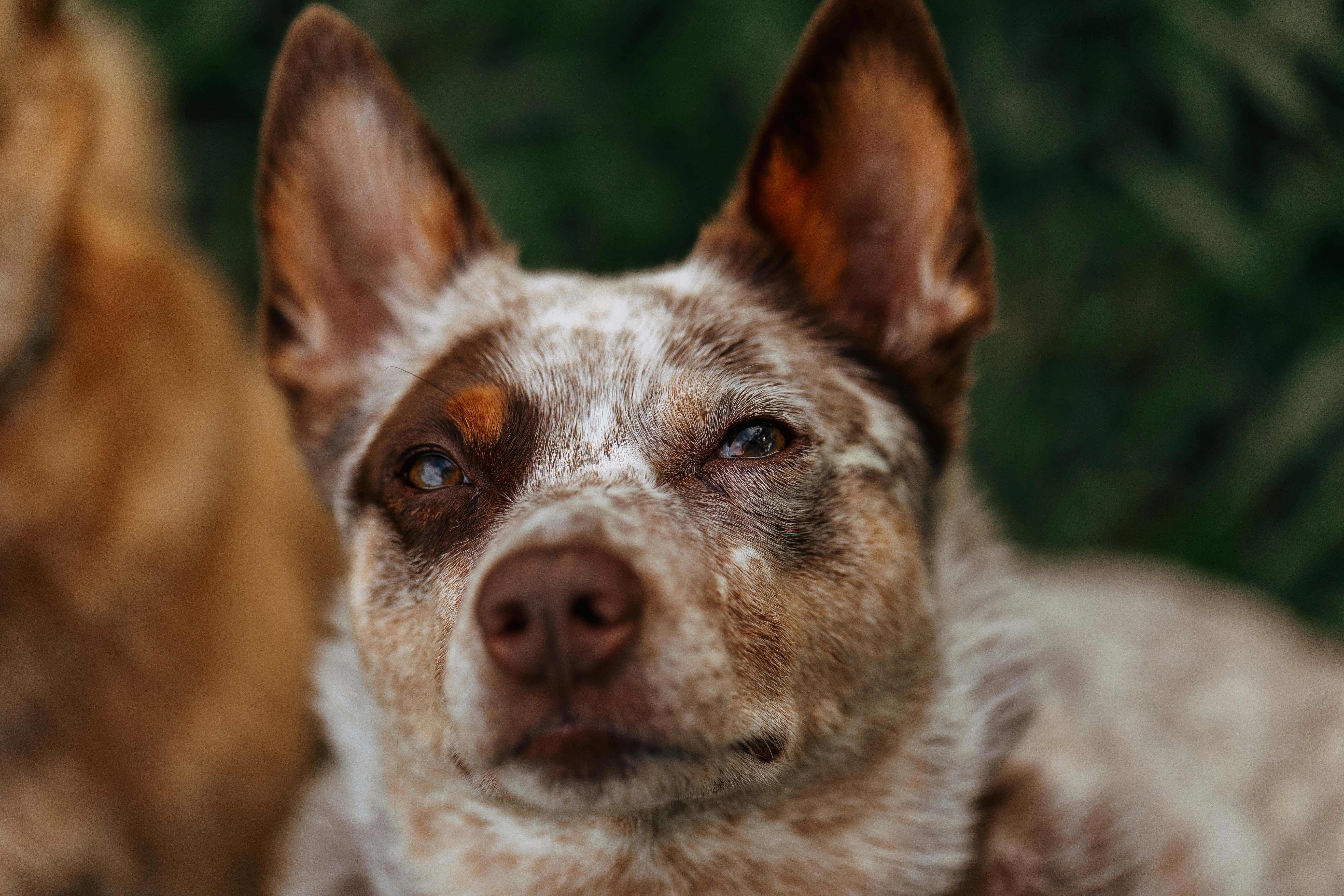 Photo by helenalopesph