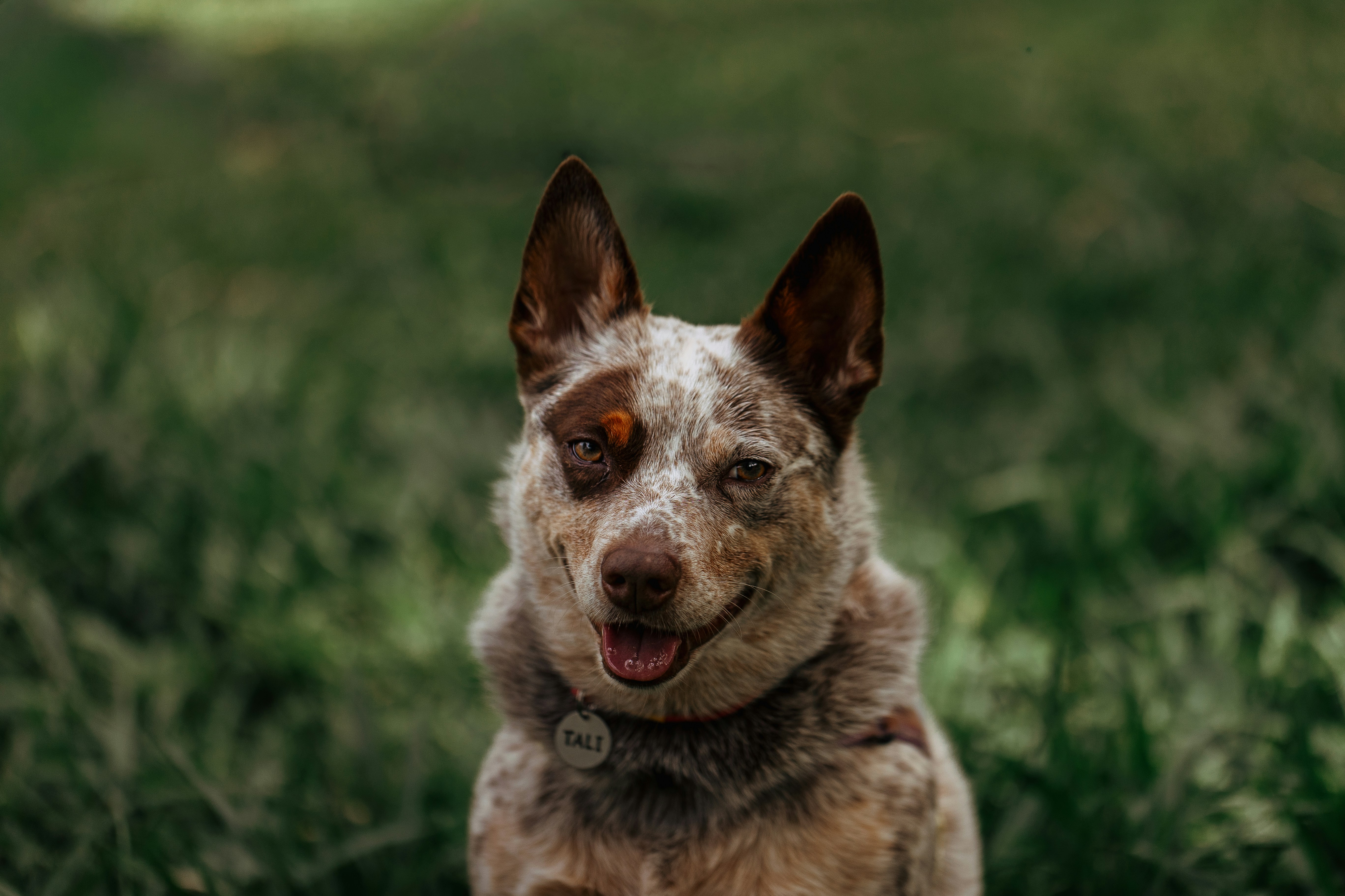 Photo by helenalopesph