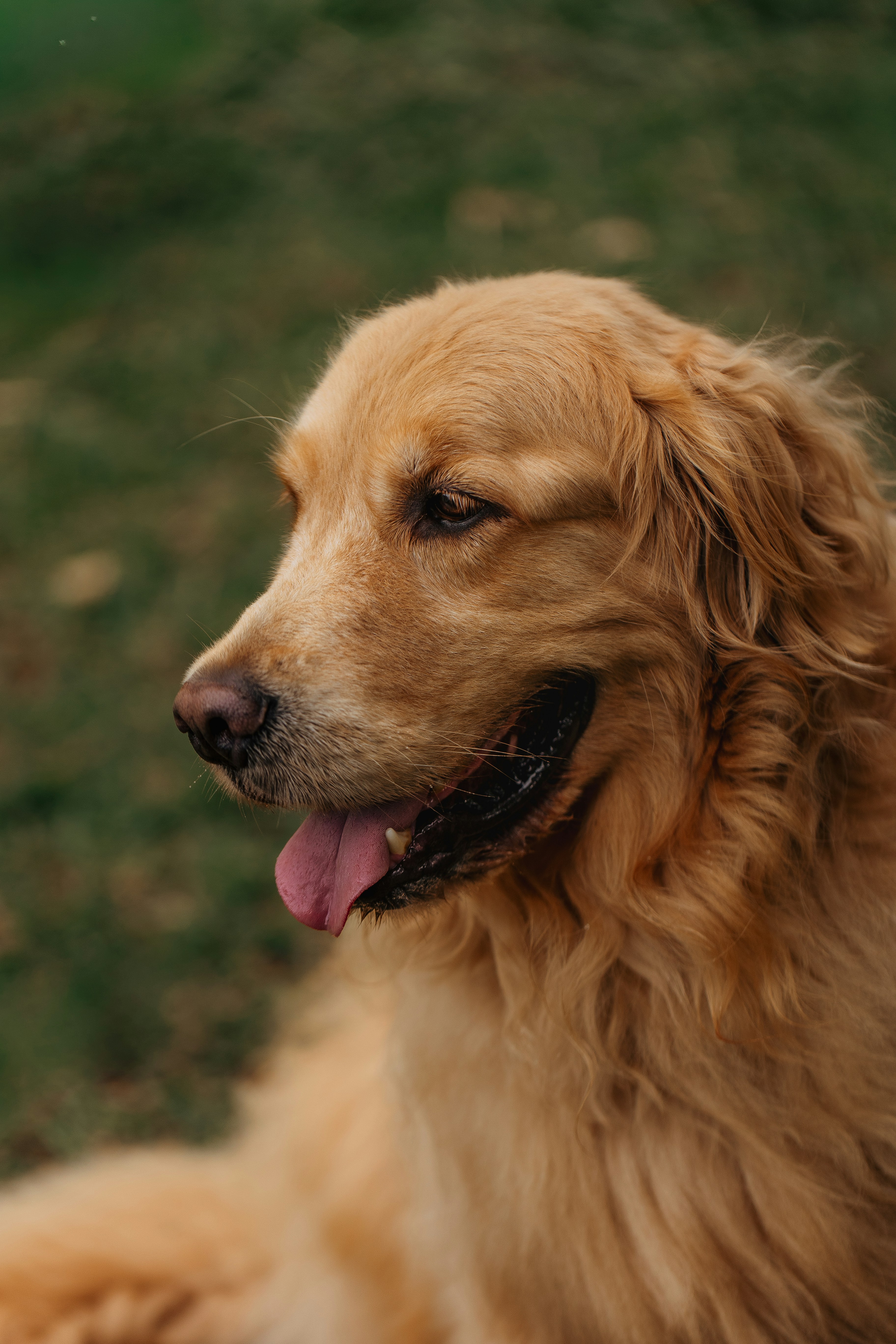 Photo by helenalopesph