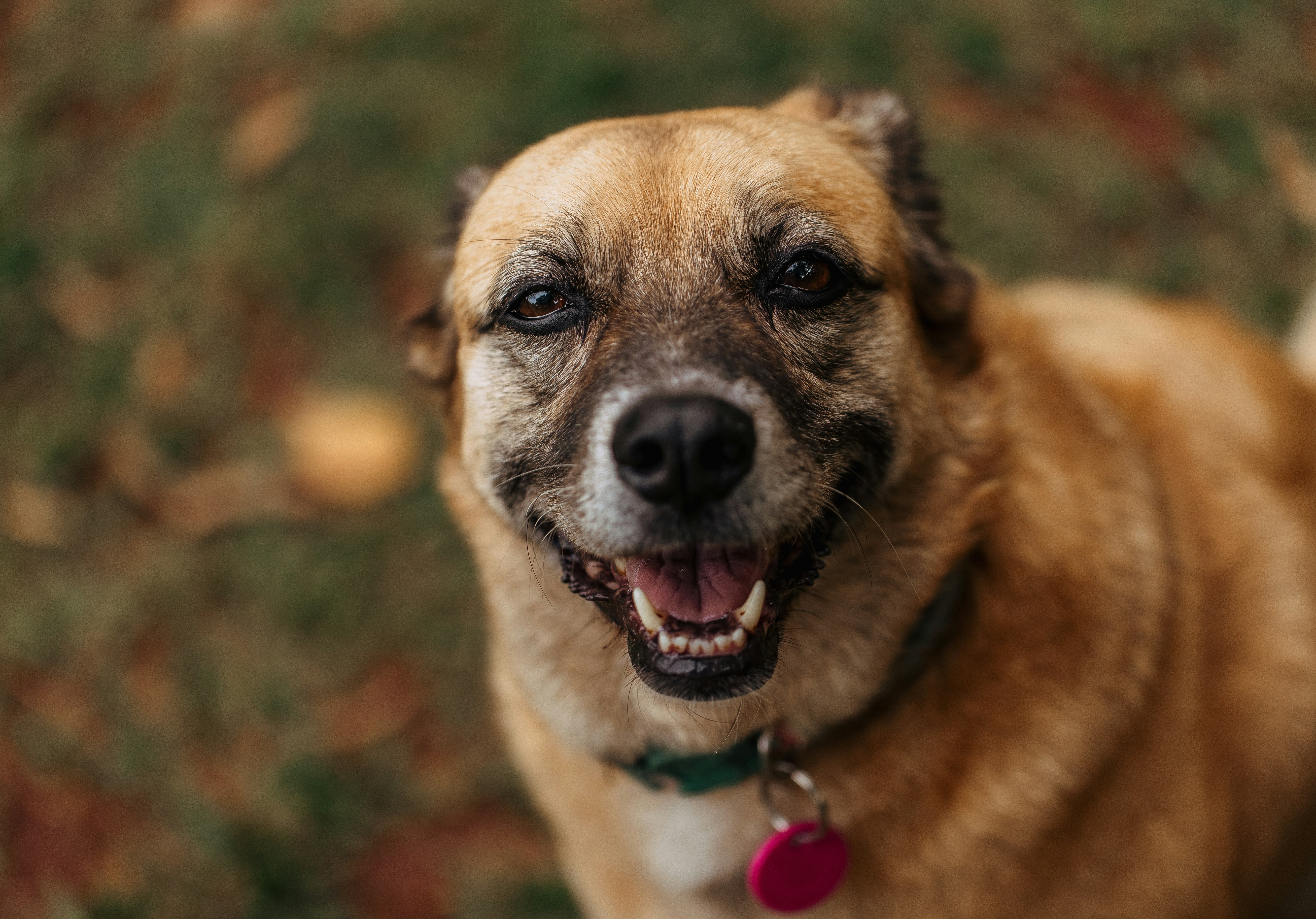 Photo by helenalopesph