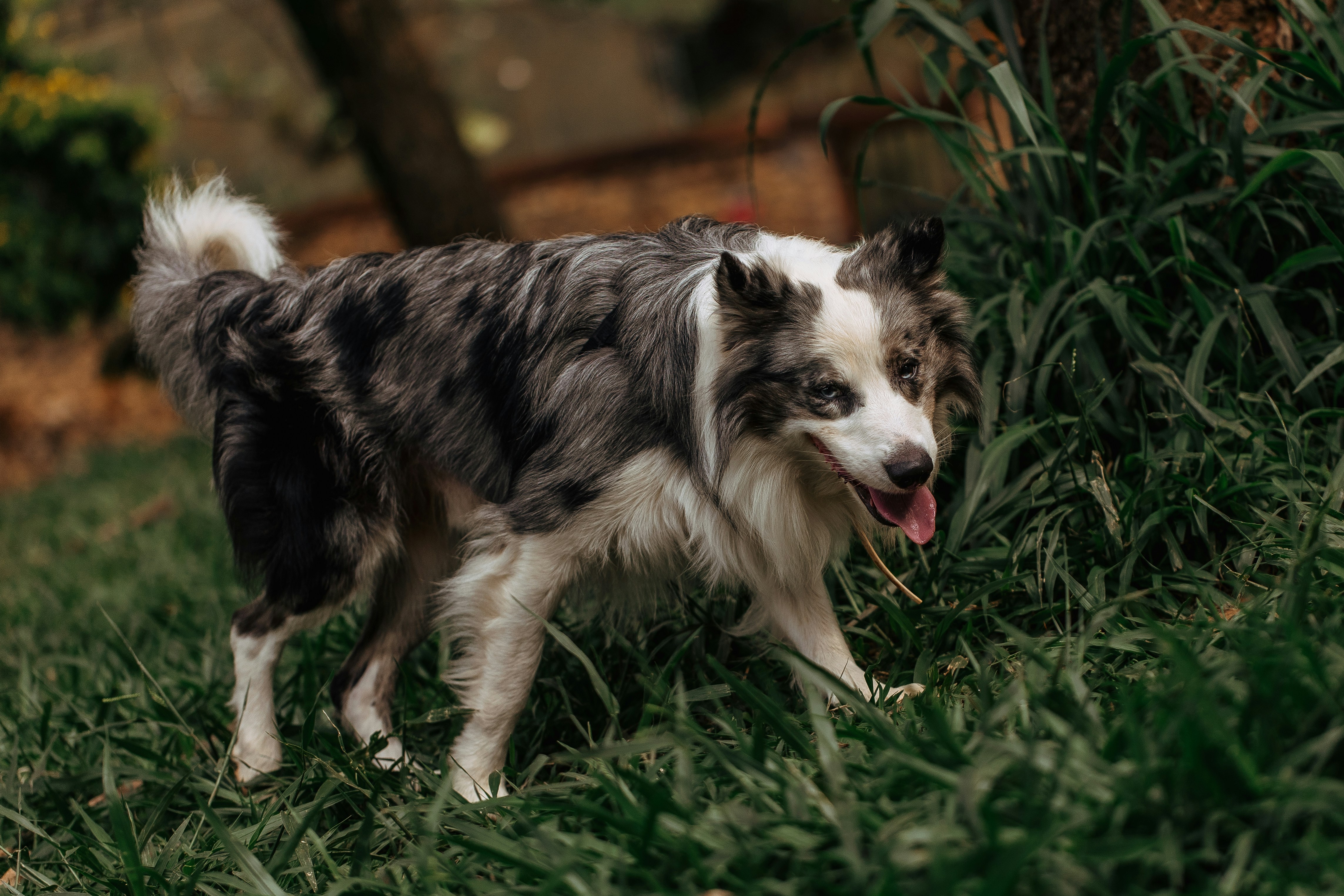 Photo by helenalopesph