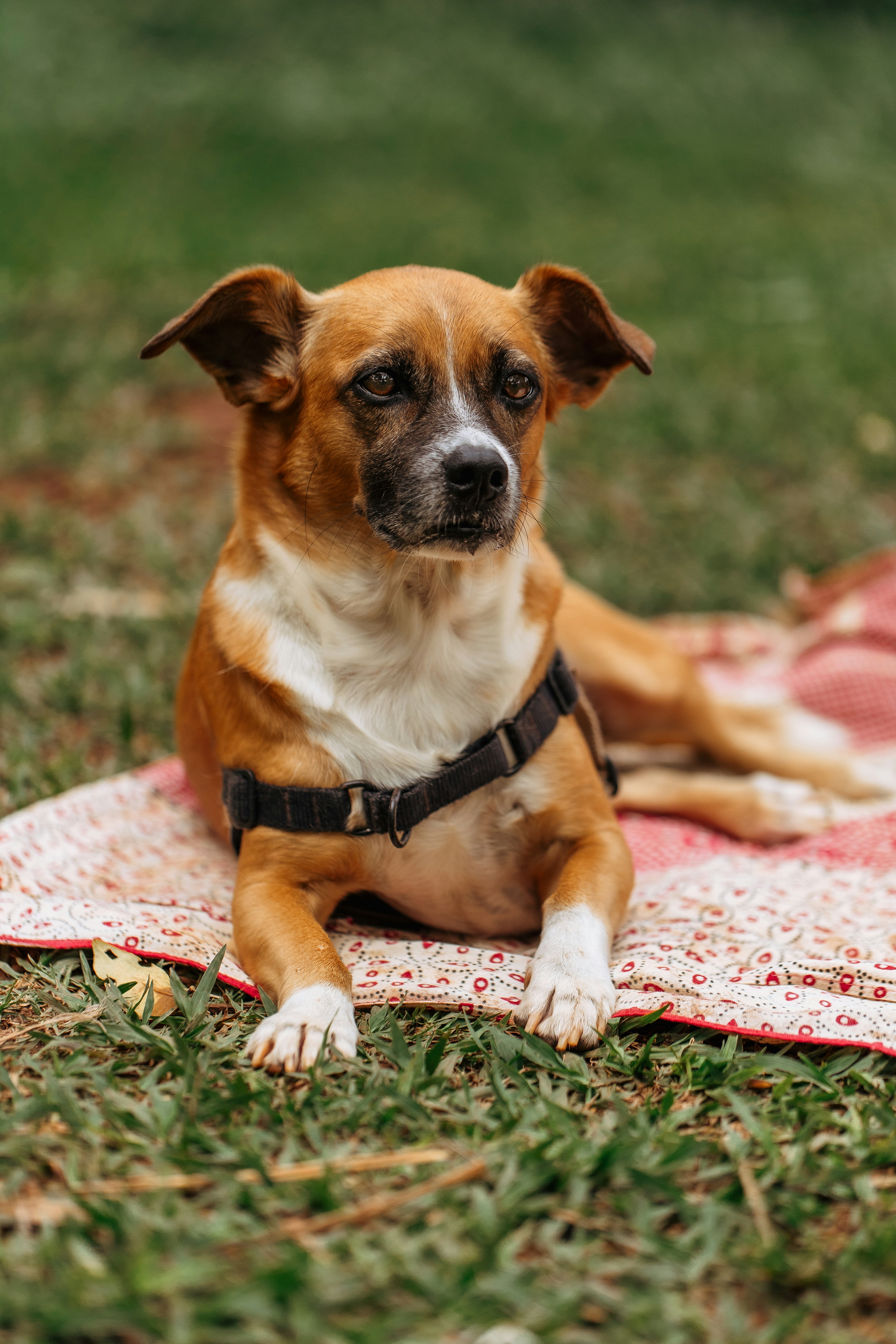 Photo by helenalopesph