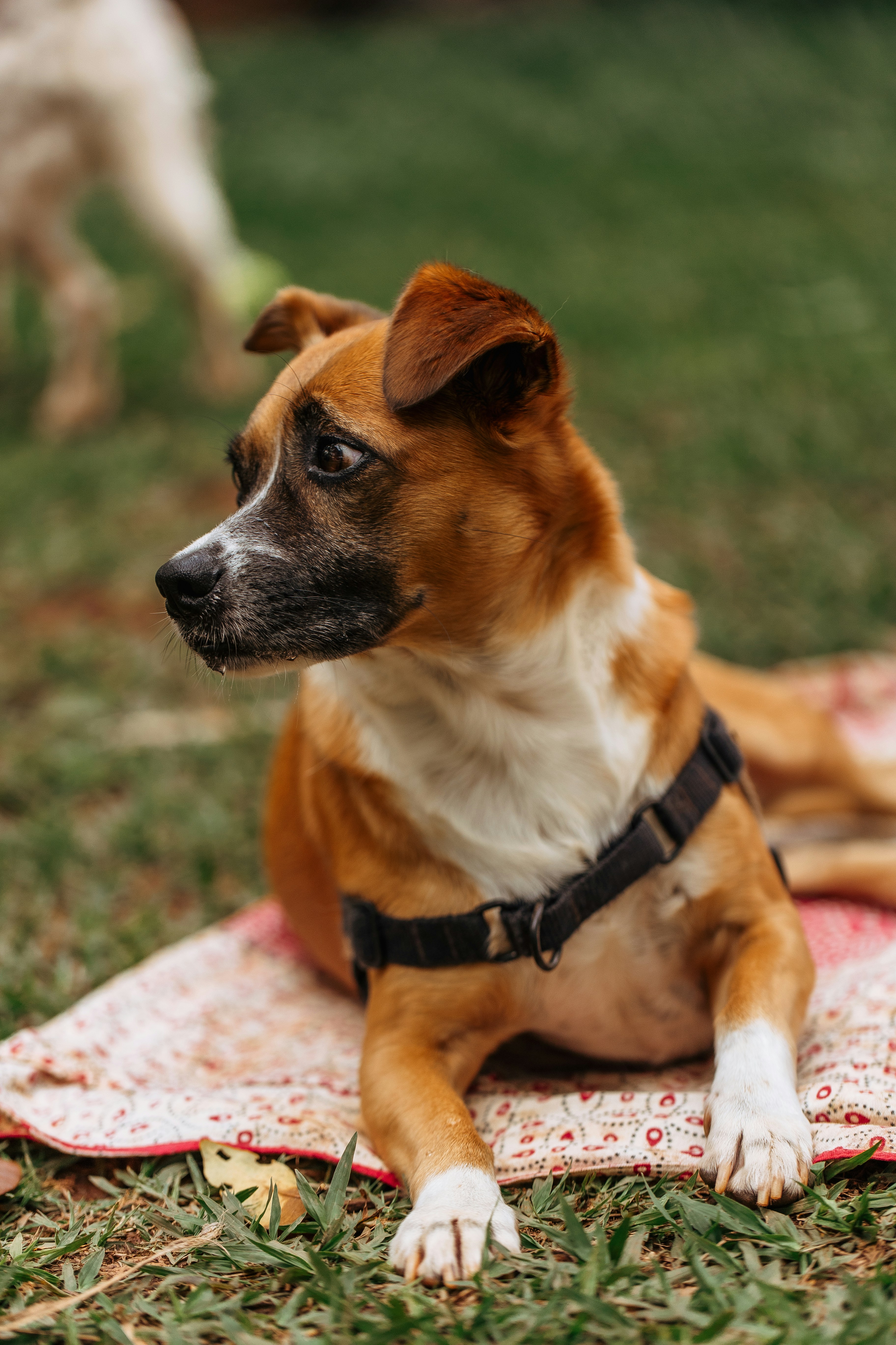 Photo by helenalopesph