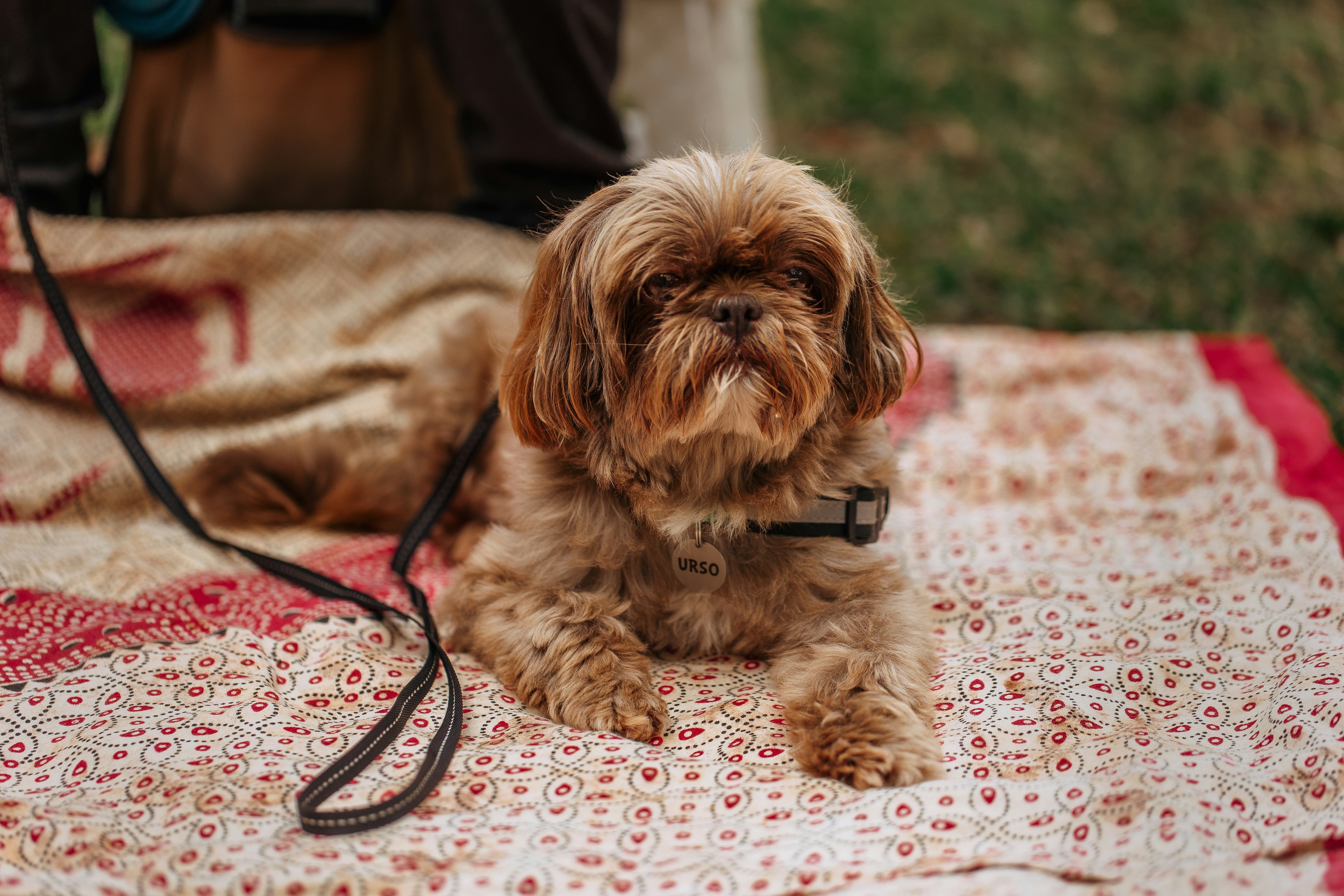 Photo by helenalopesph