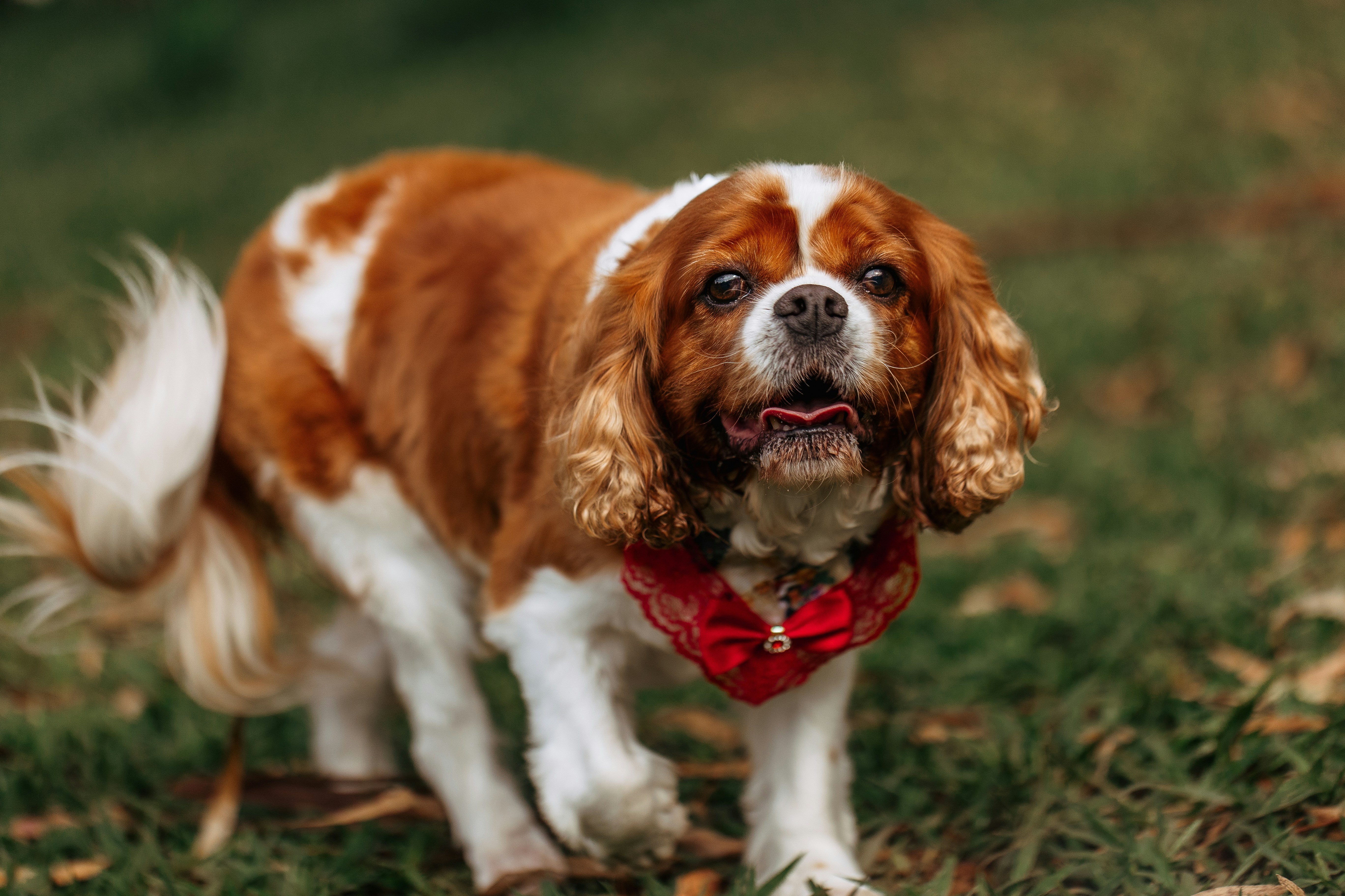 Photo by helenalopesph