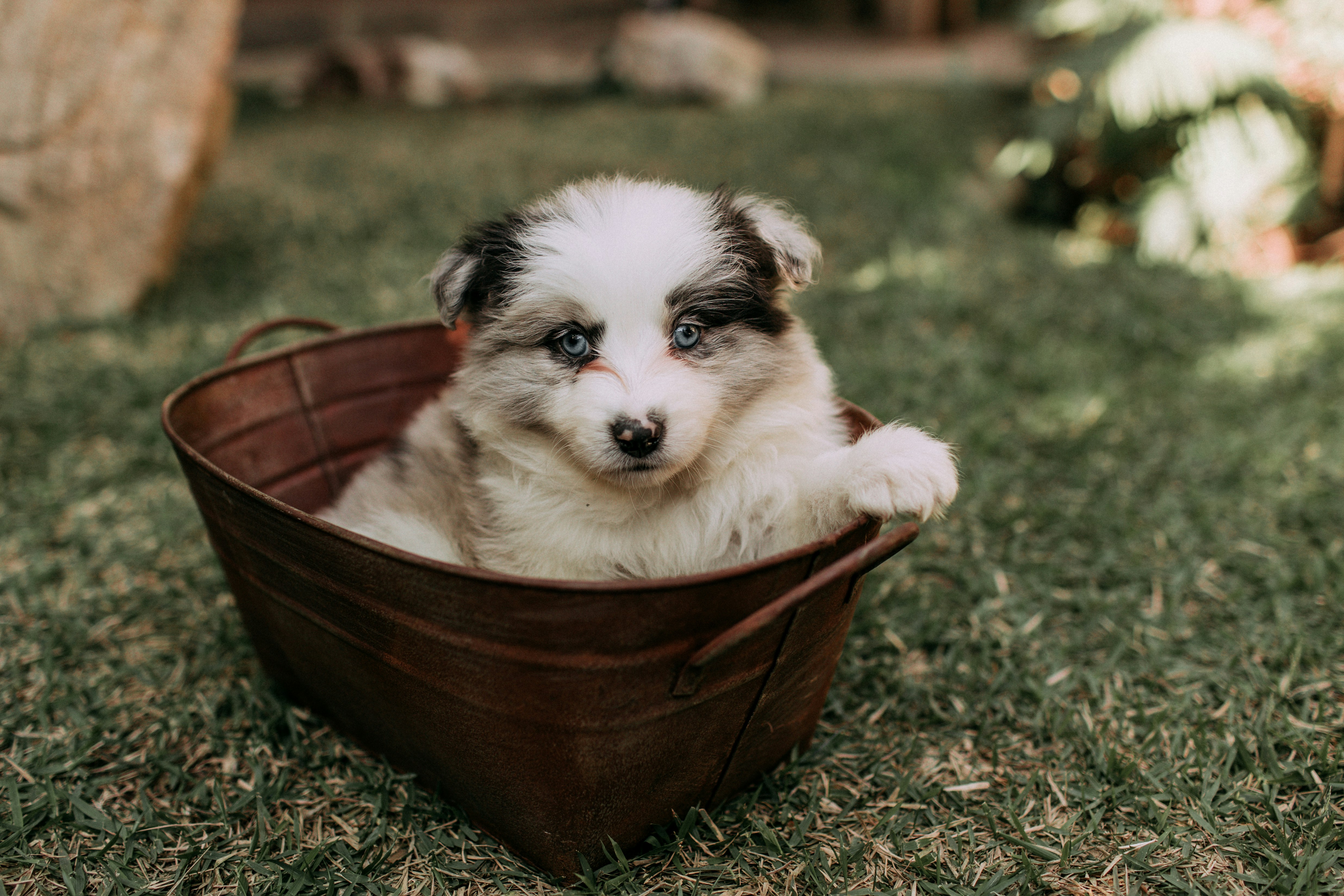 Photo by helenalopesph