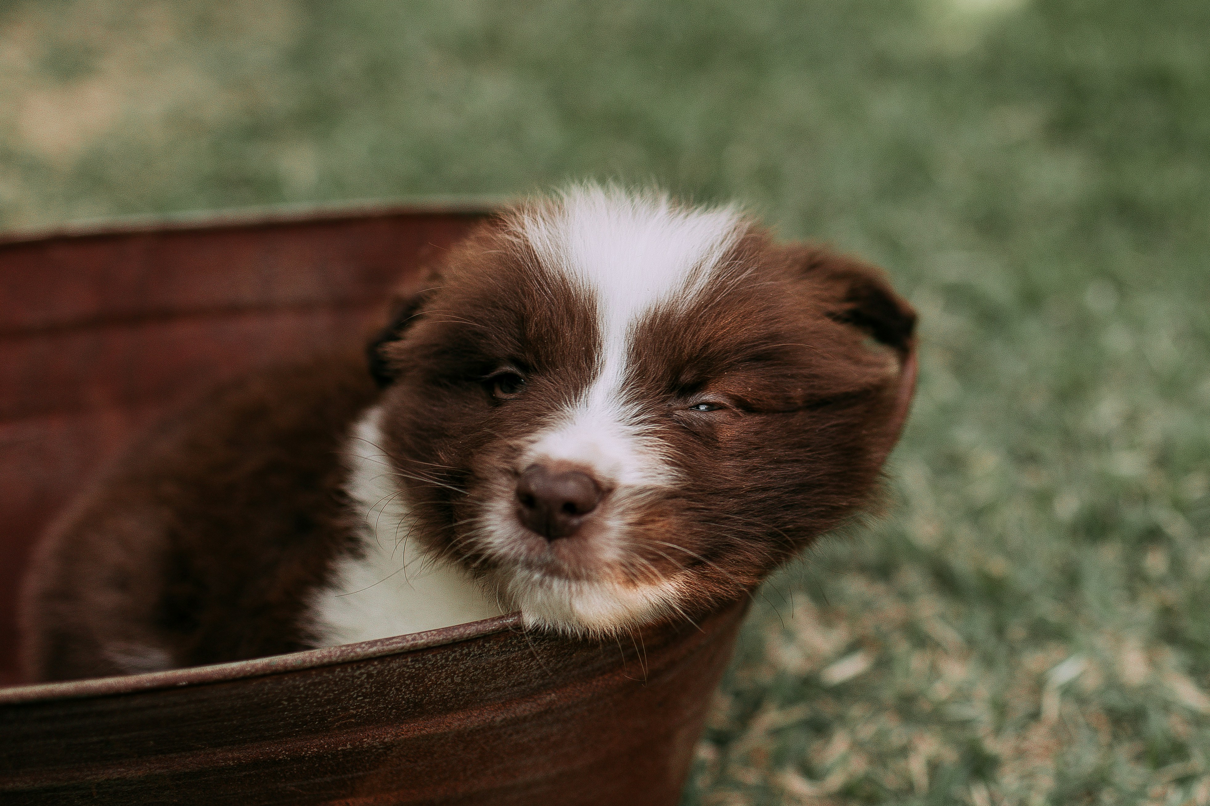 Photo by helenalopesph