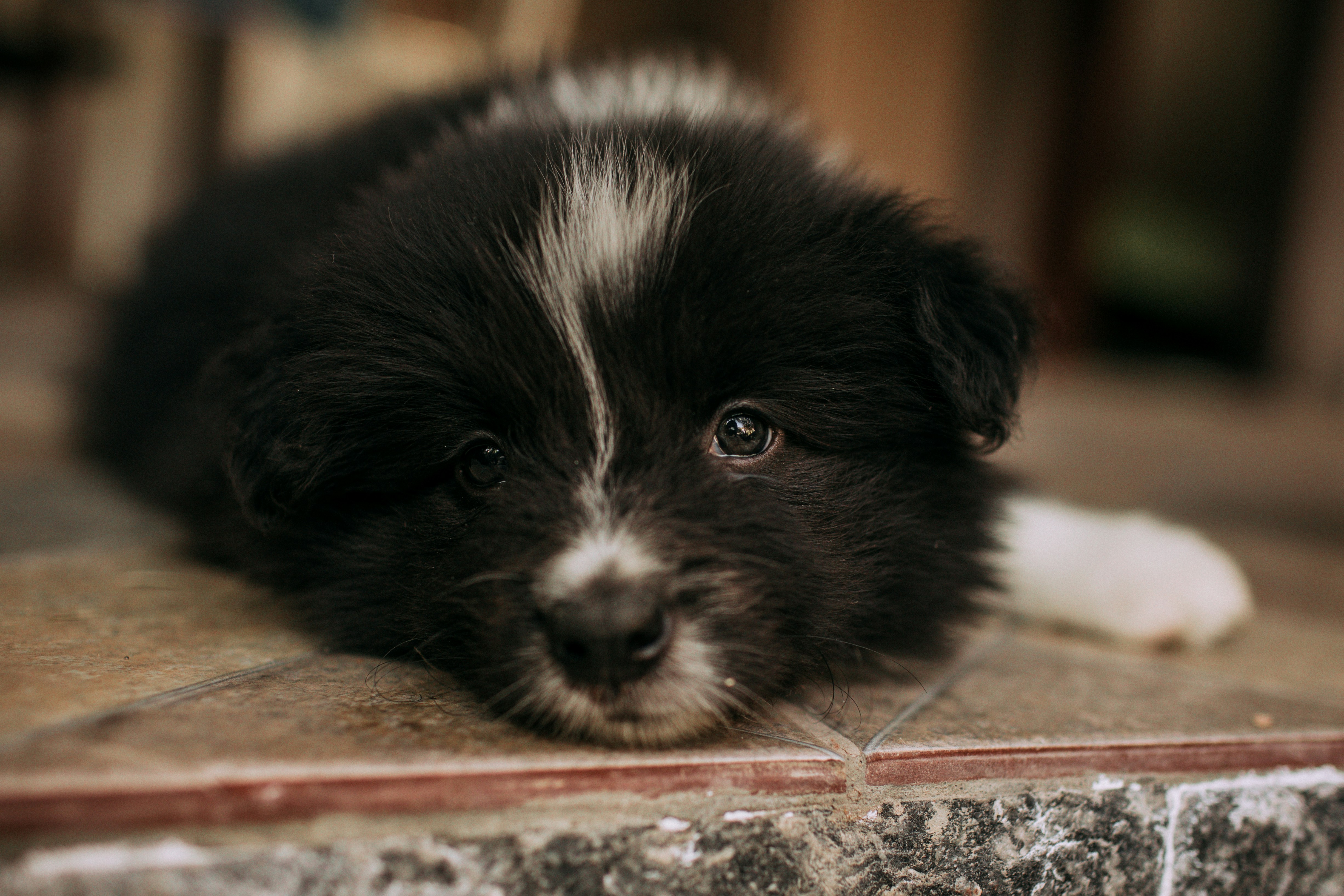 Photo by helenalopesph