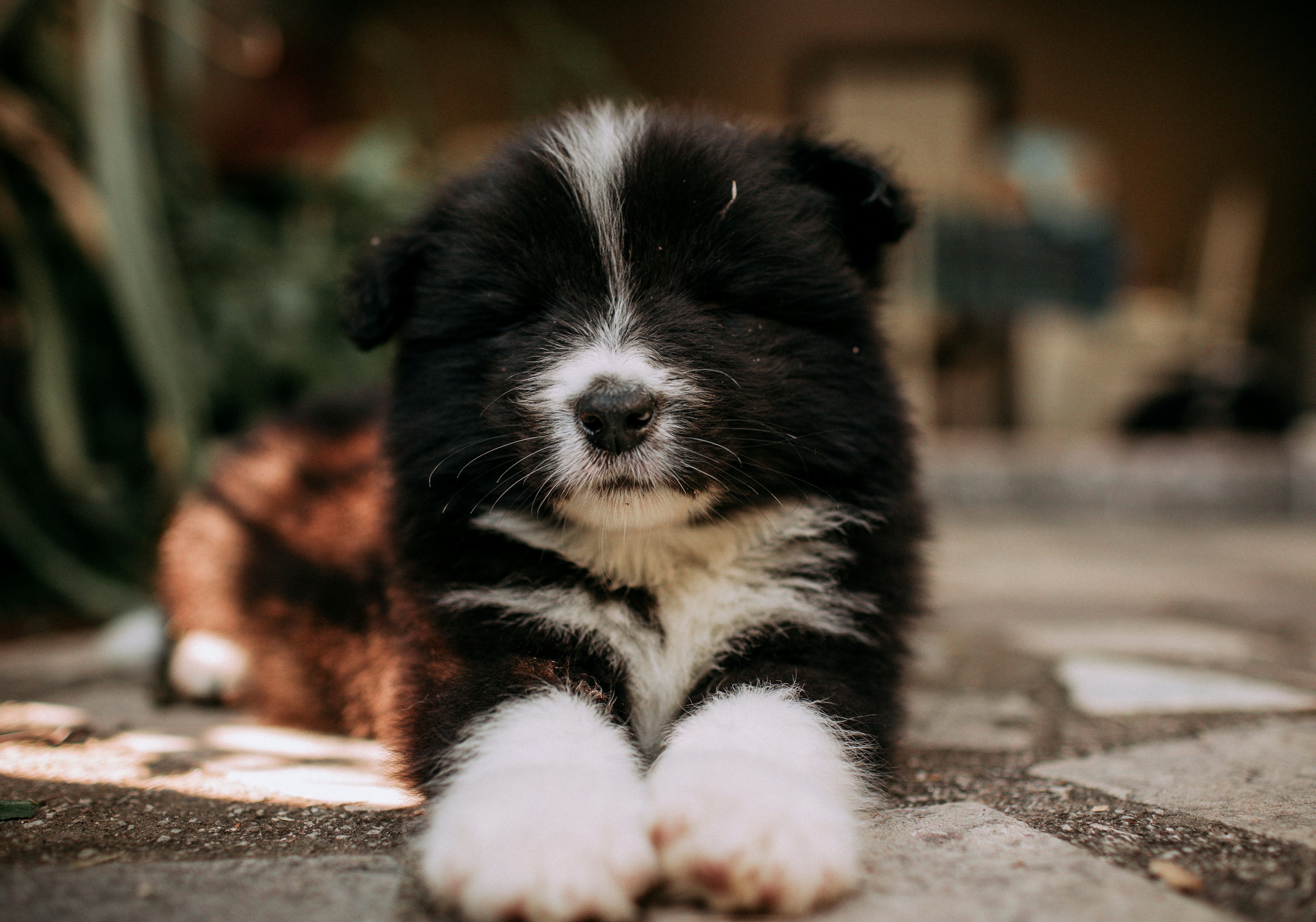 Photo by helenalopesph