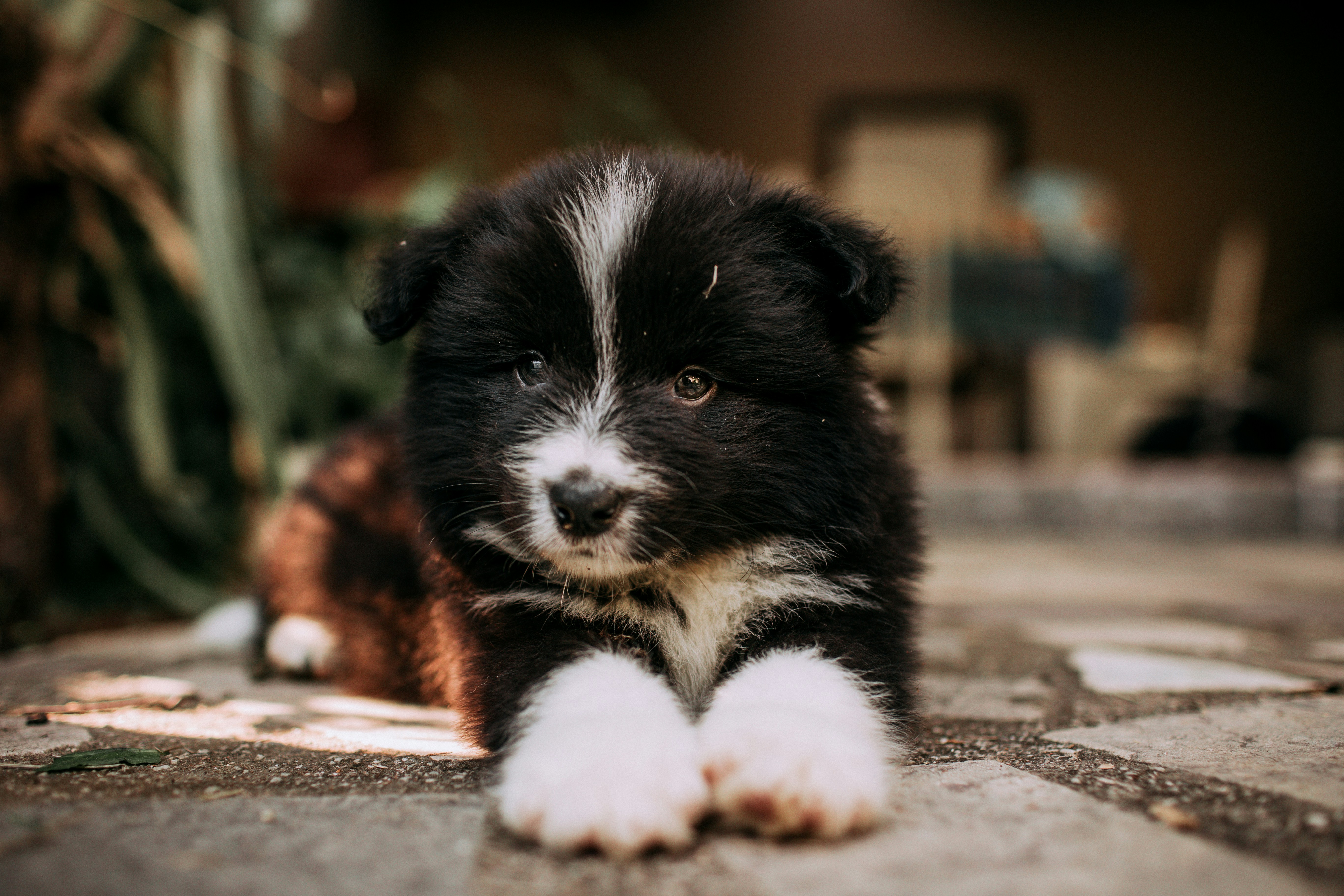 Photo by helenalopesph