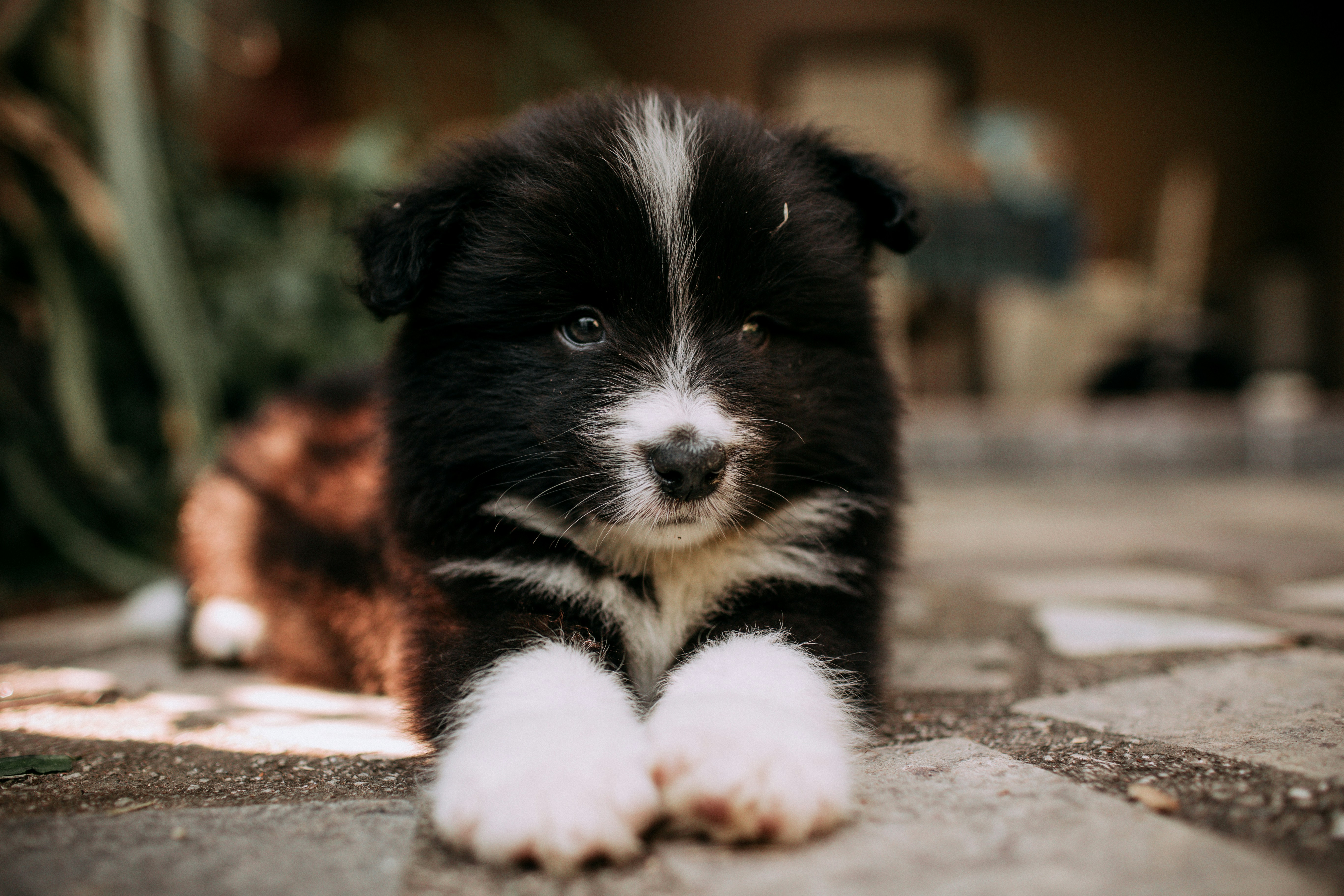 Photo by helenalopesph