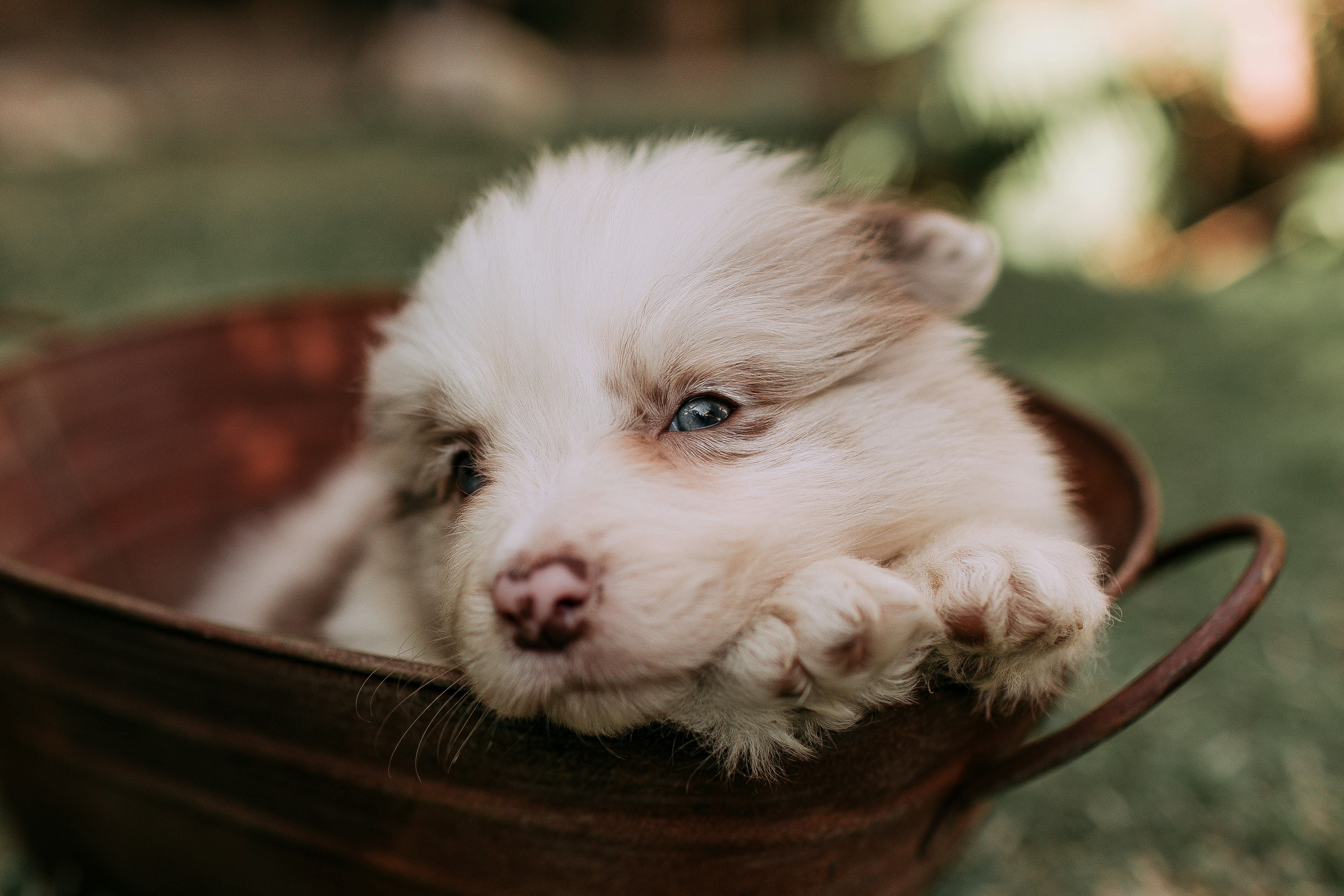 Photo by helenalopesph