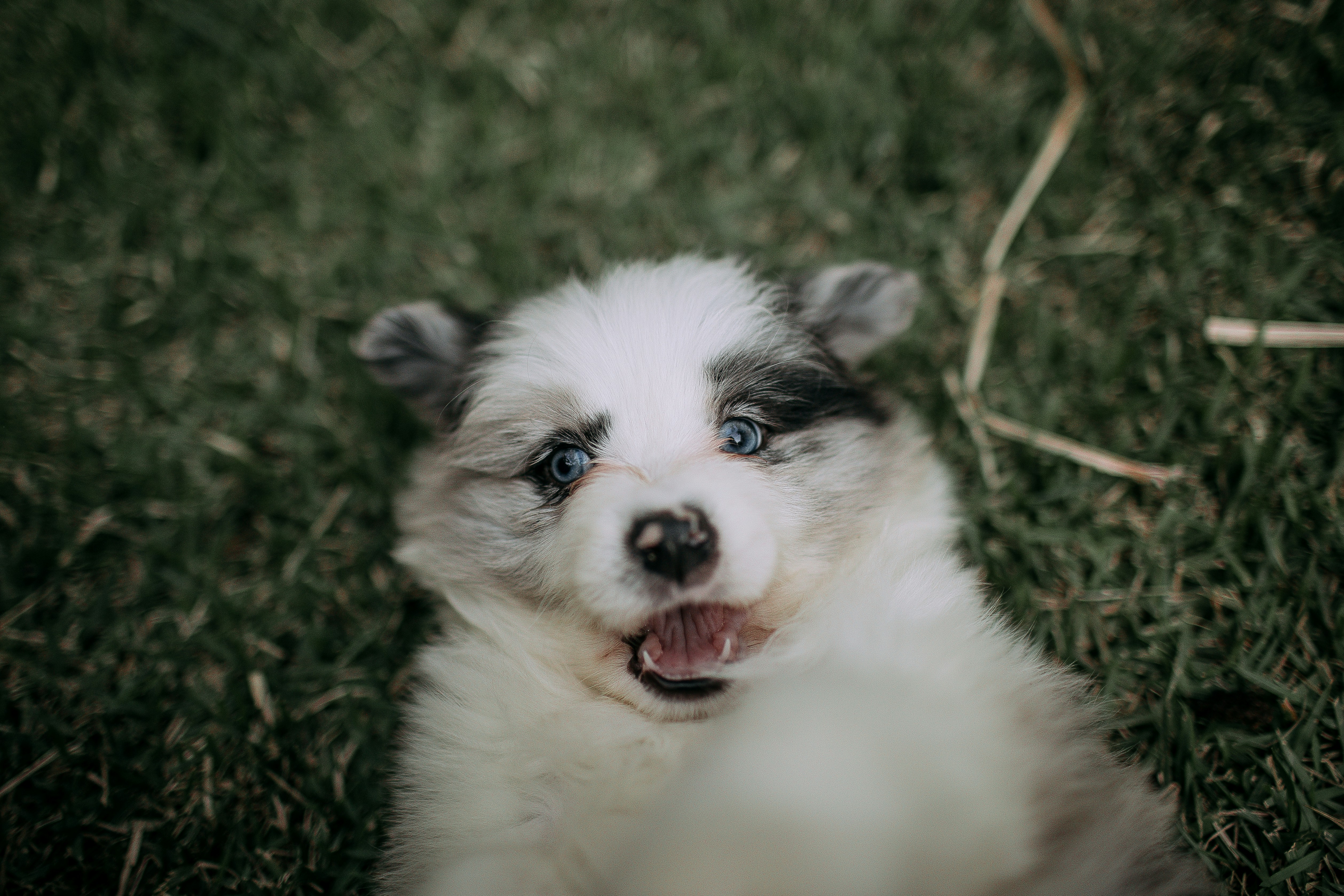 Photo by helenalopesph