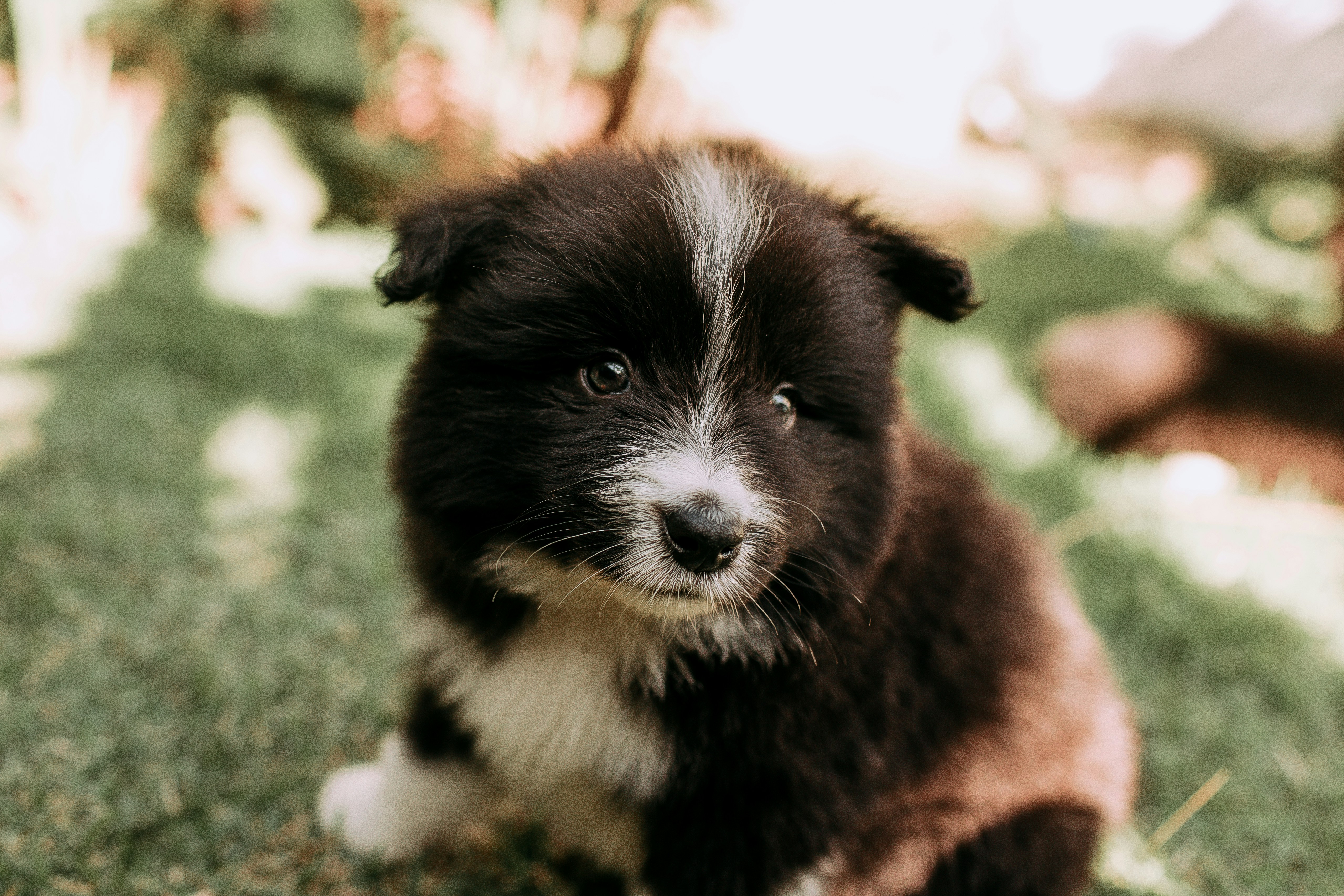 Photo by helenalopesph