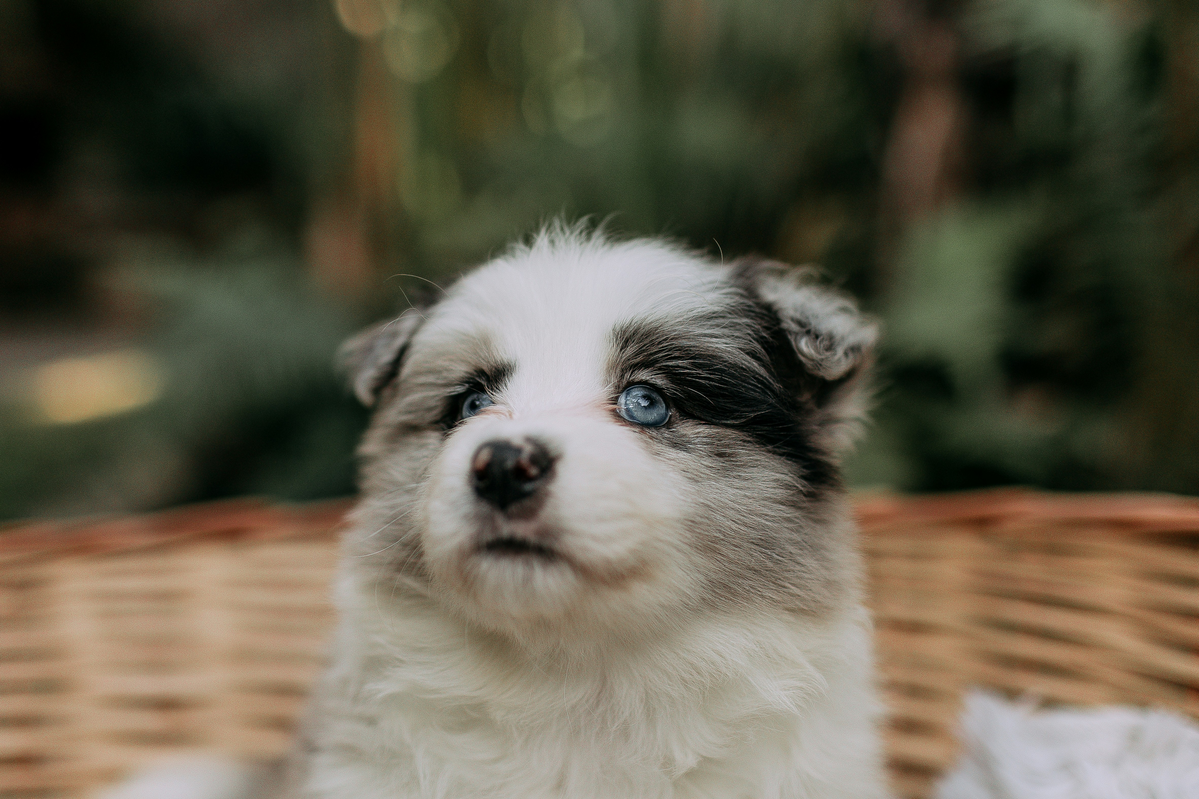 Photo by helenalopesph