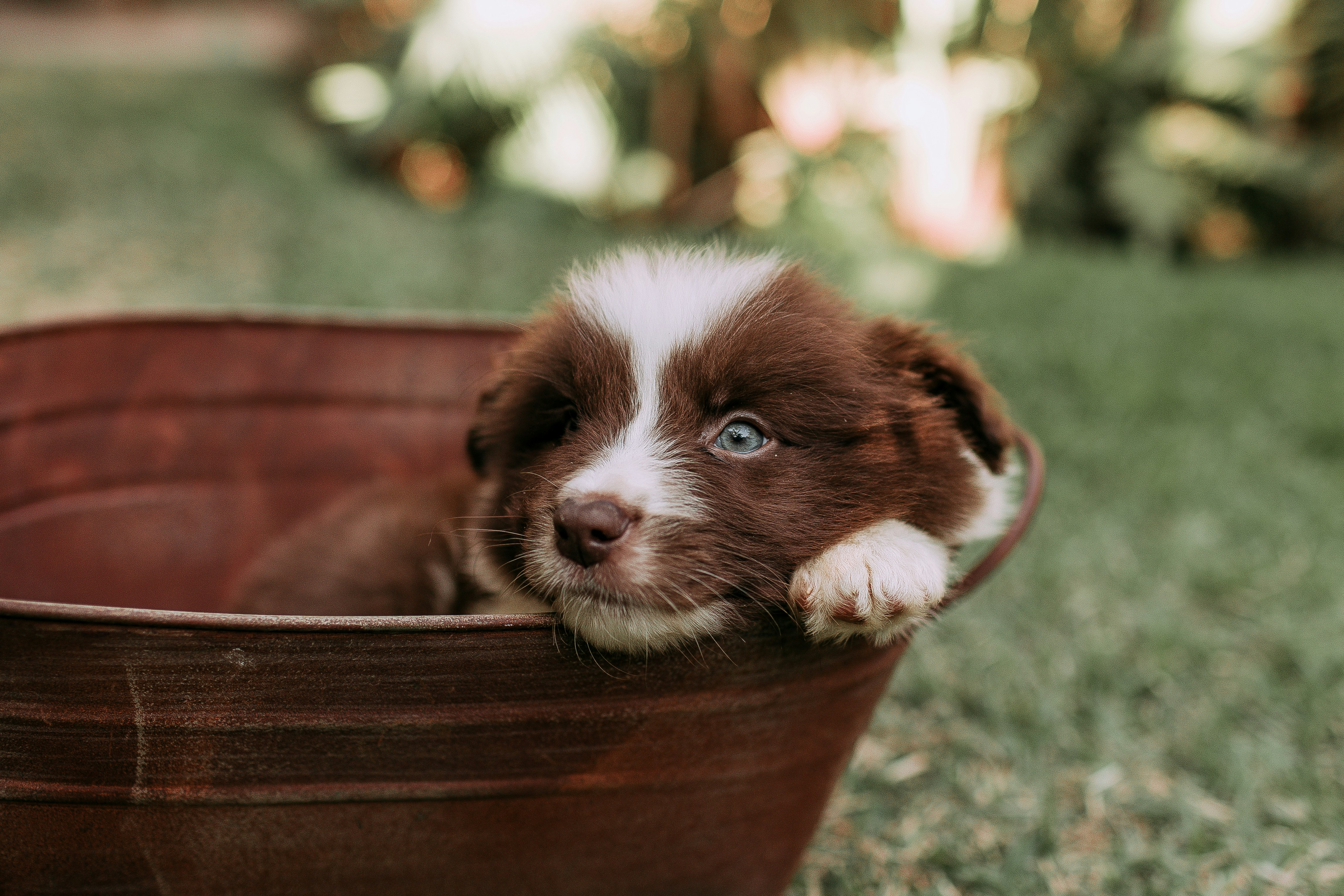 Photo by helenalopesph