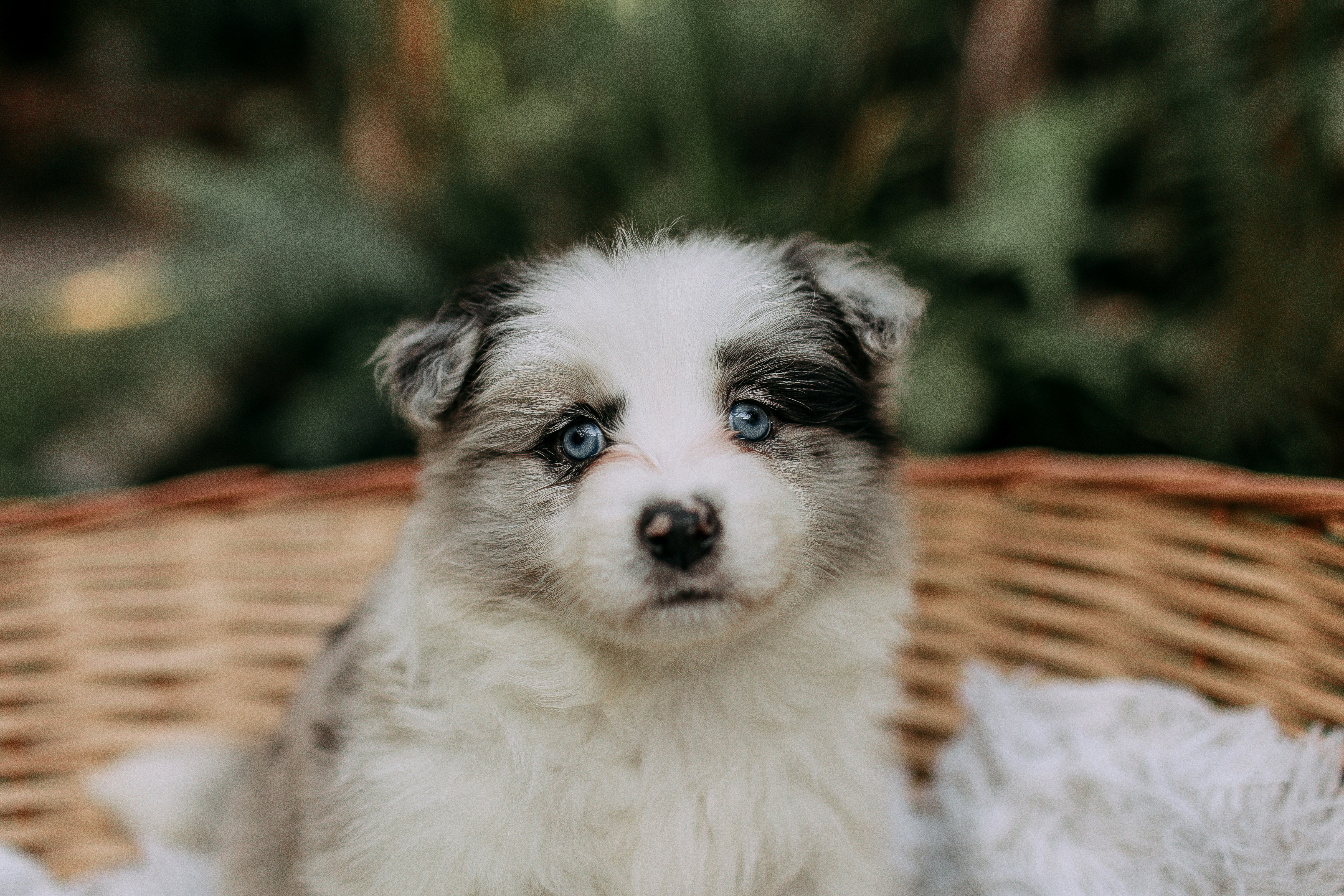 Photo by helenalopesph