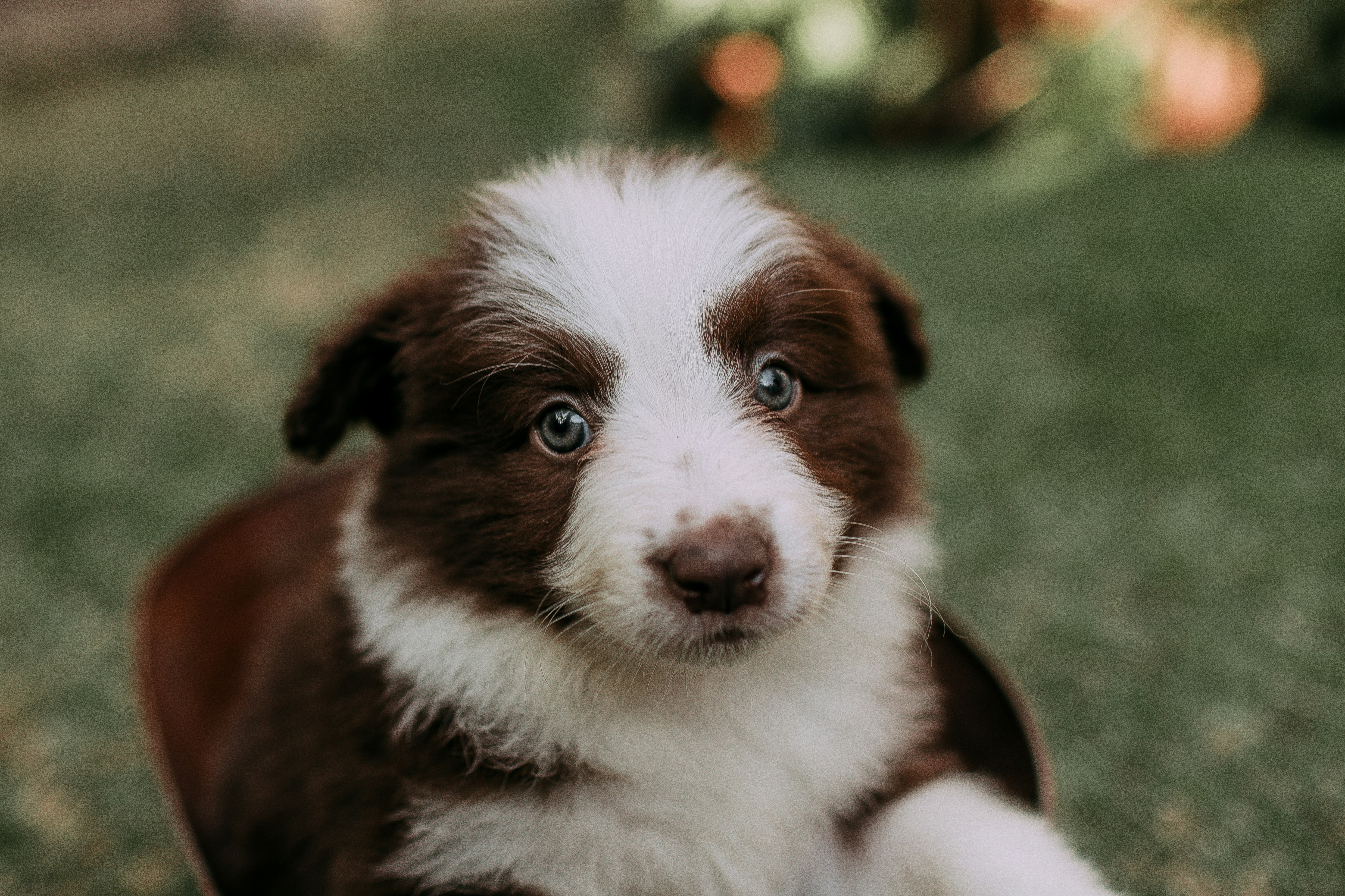 Photo by helenalopesph