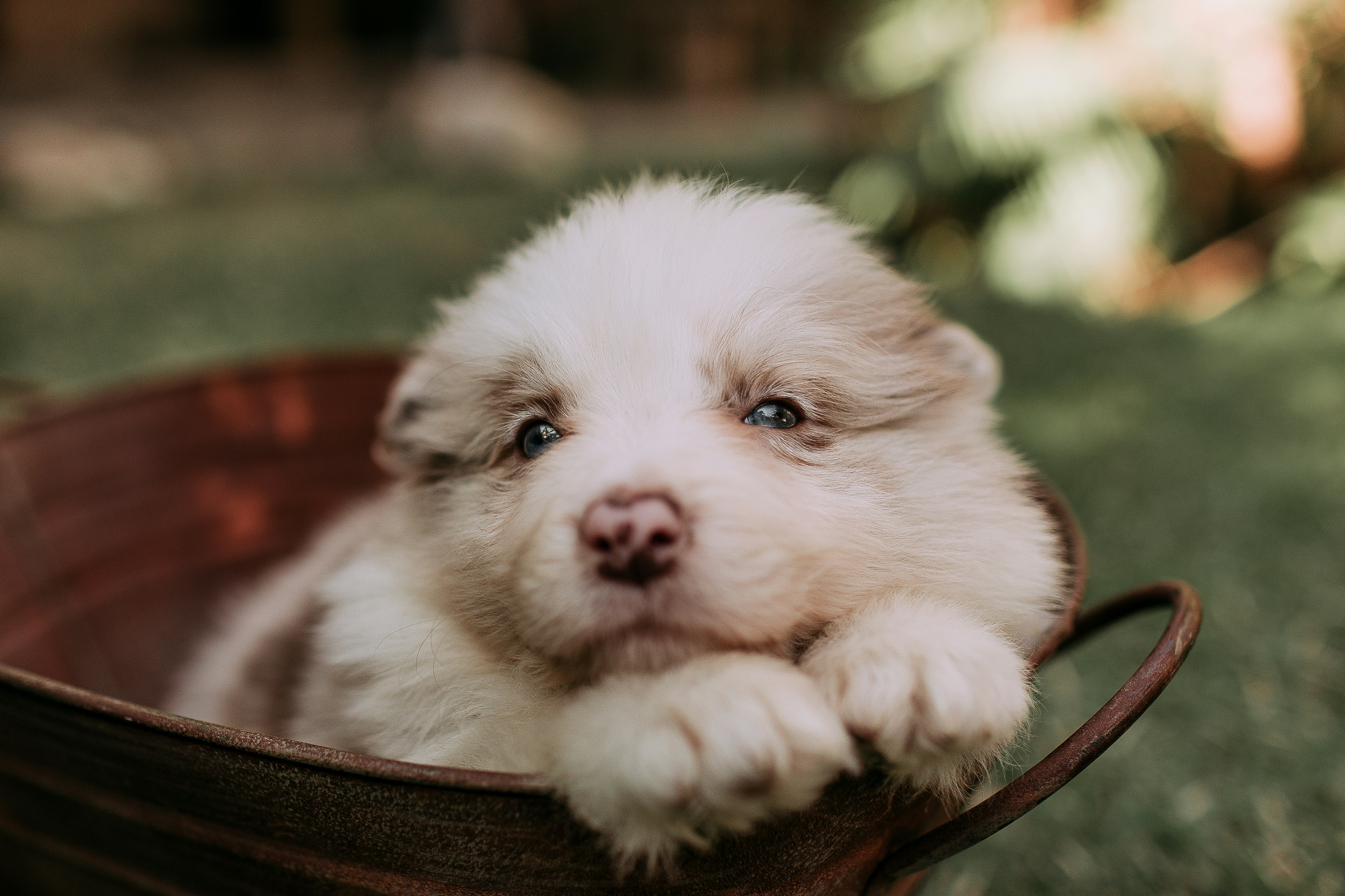 Photo by helenalopesph