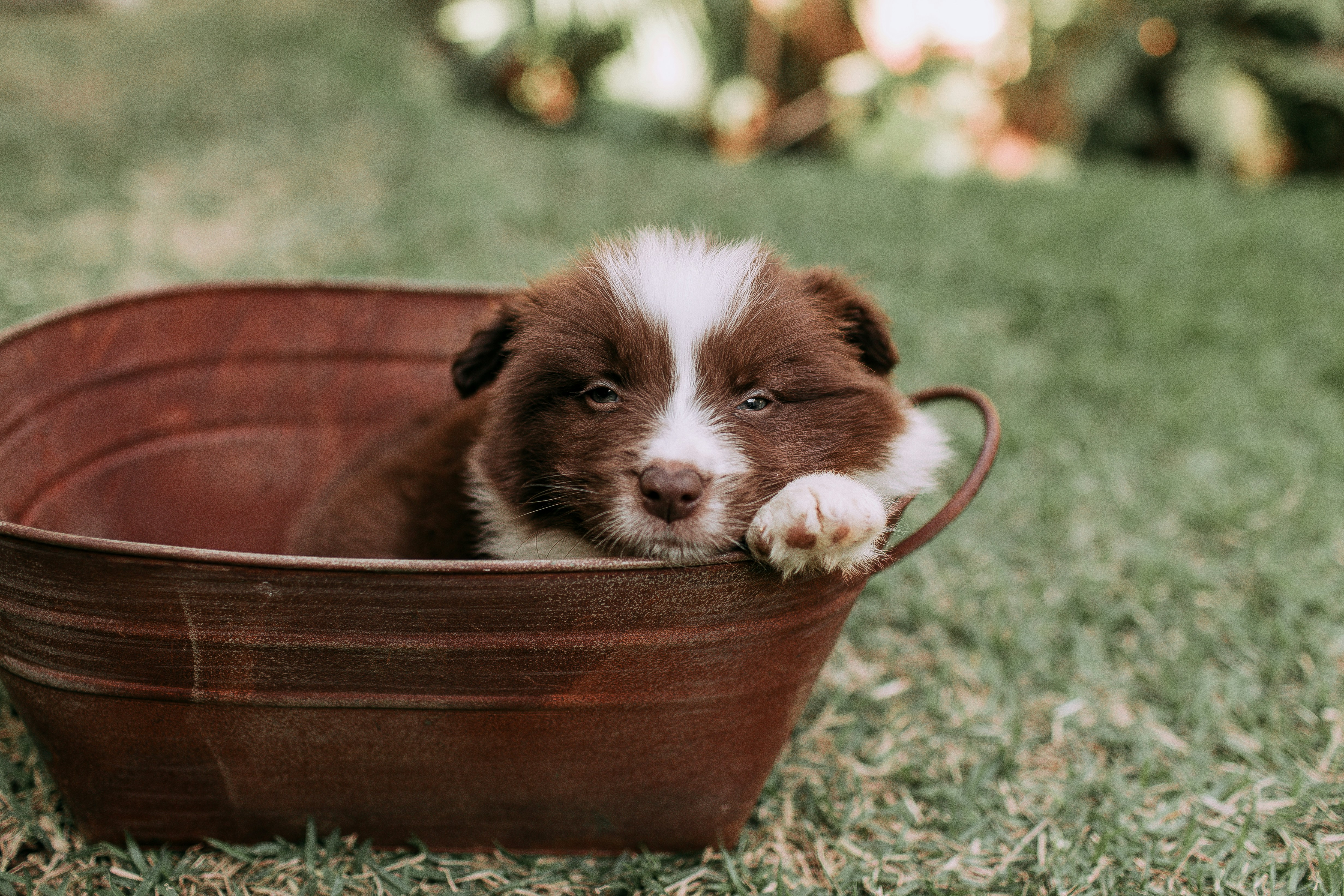 Photo by helenalopesph