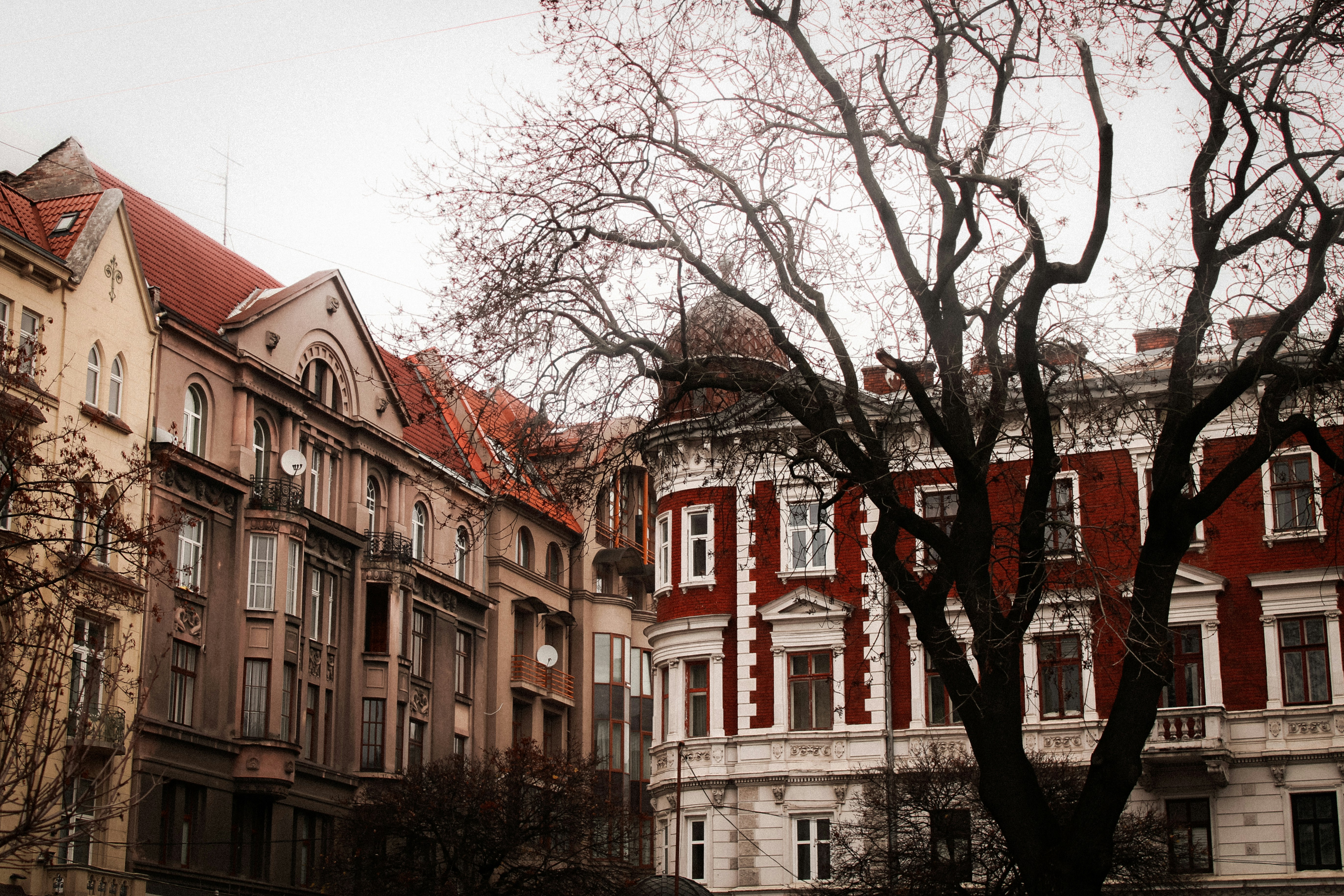 Photo by mineral_of_demon