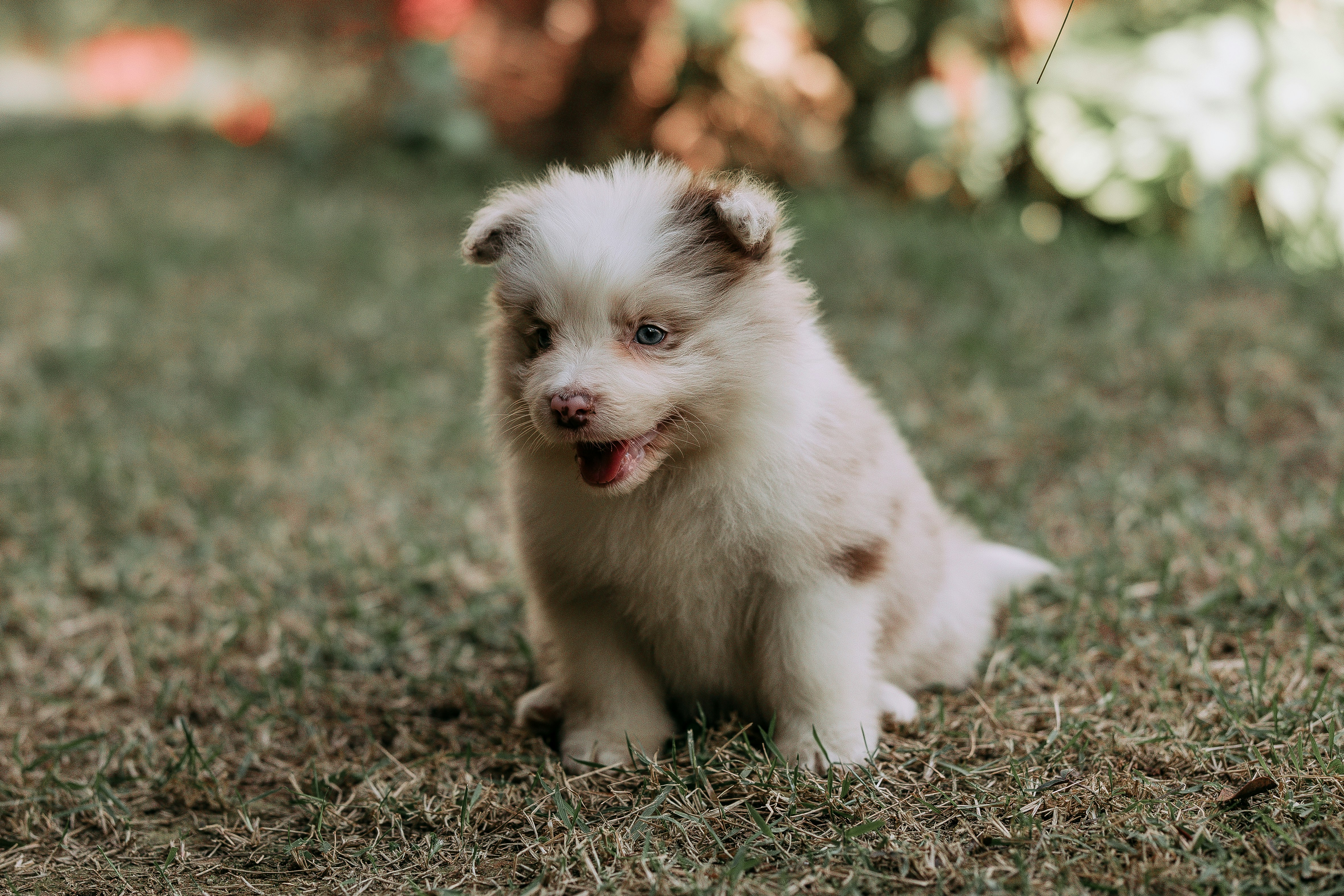 Photo by helenalopesph