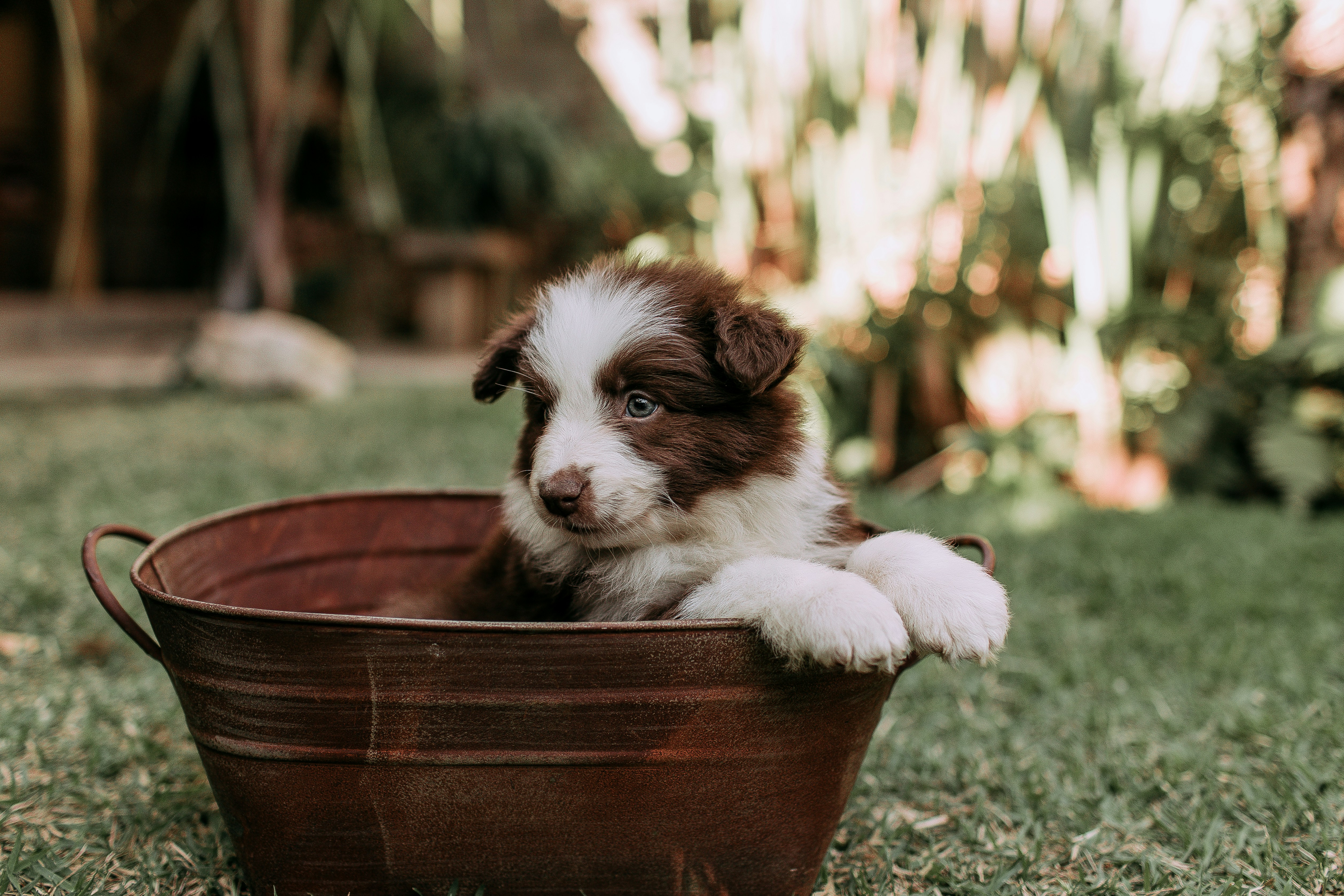 Photo by helenalopesph