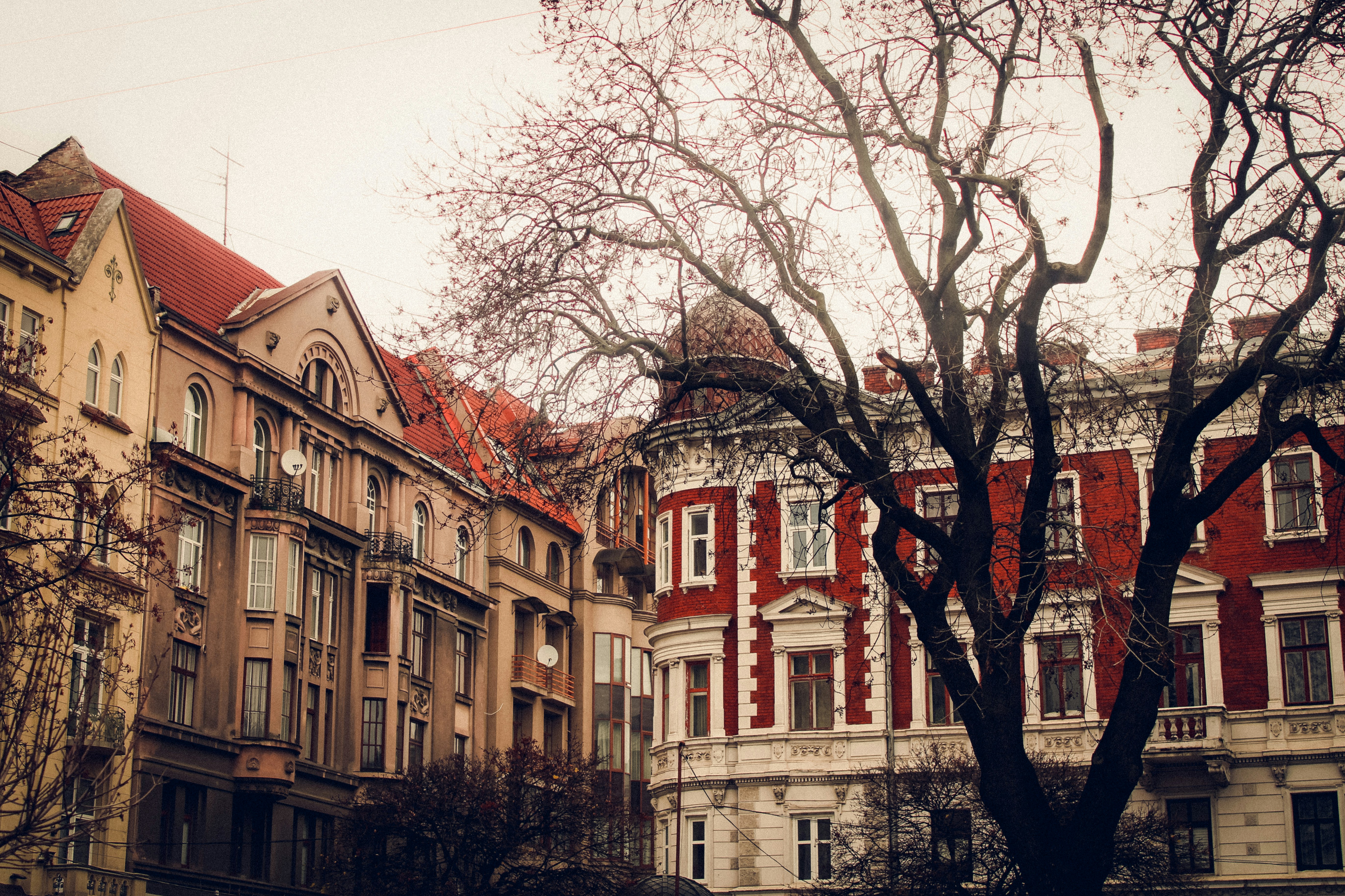 Photo by mineral_of_demon