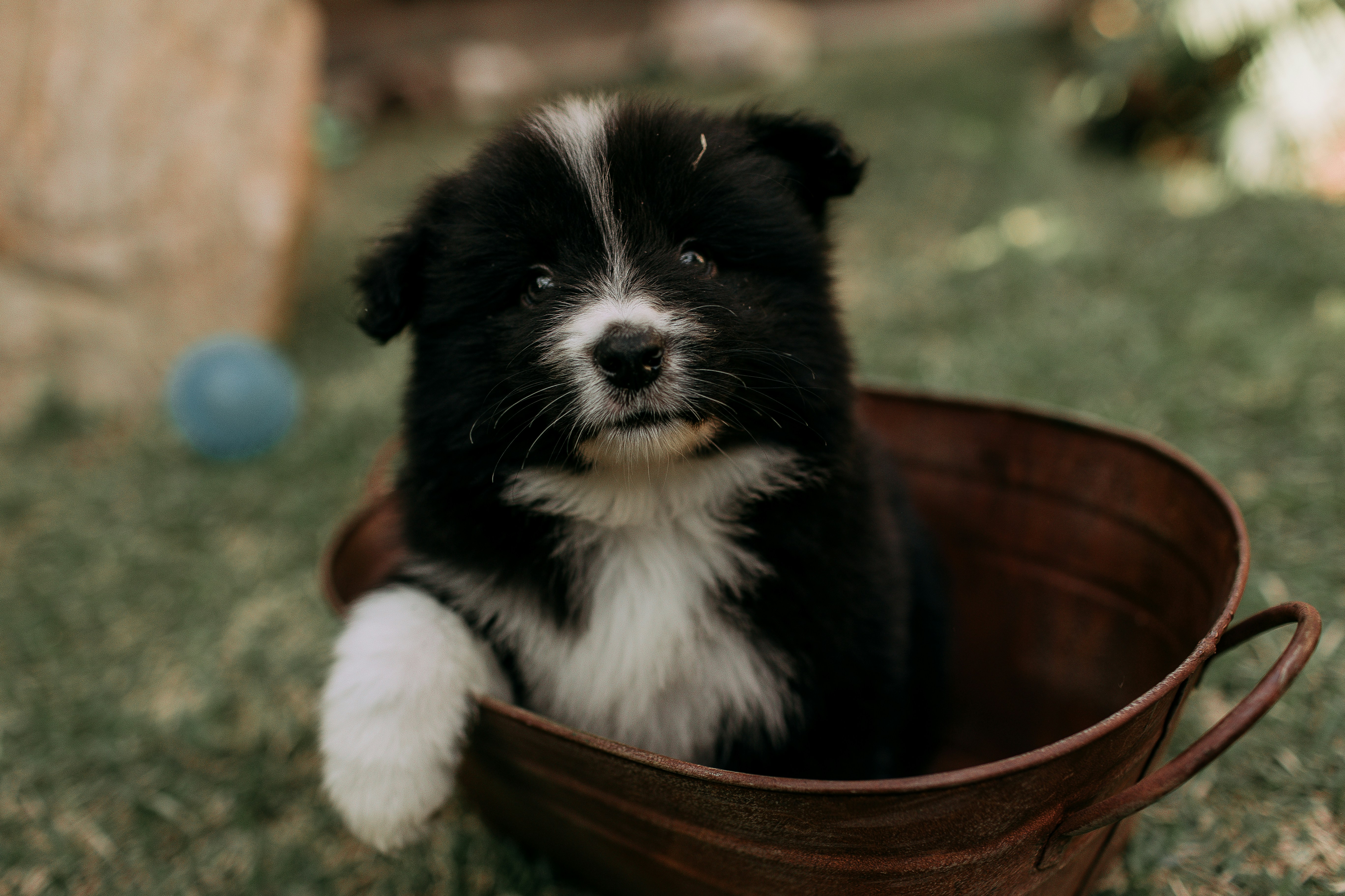 Photo by helenalopesph