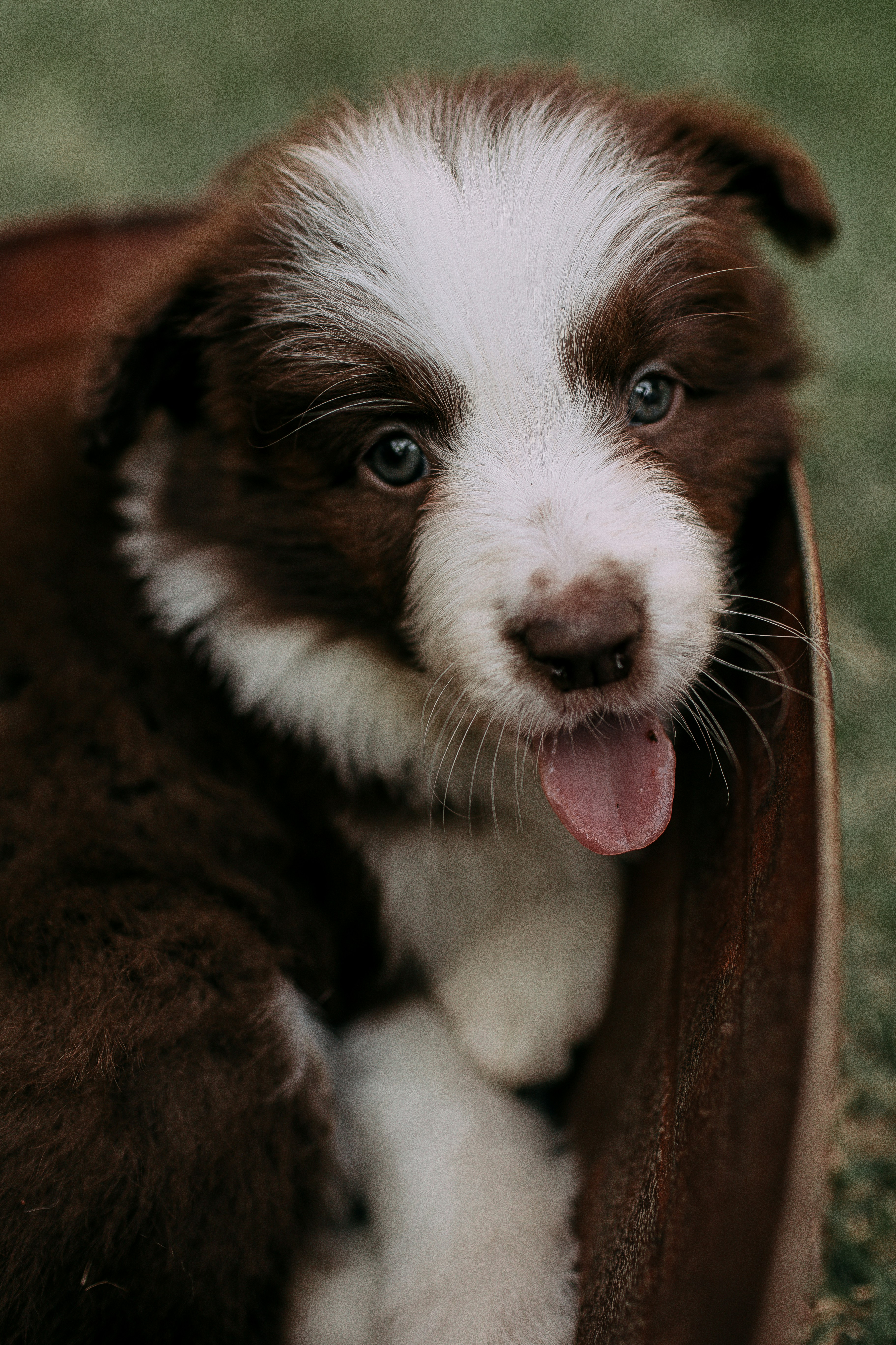 Photo by helenalopesph