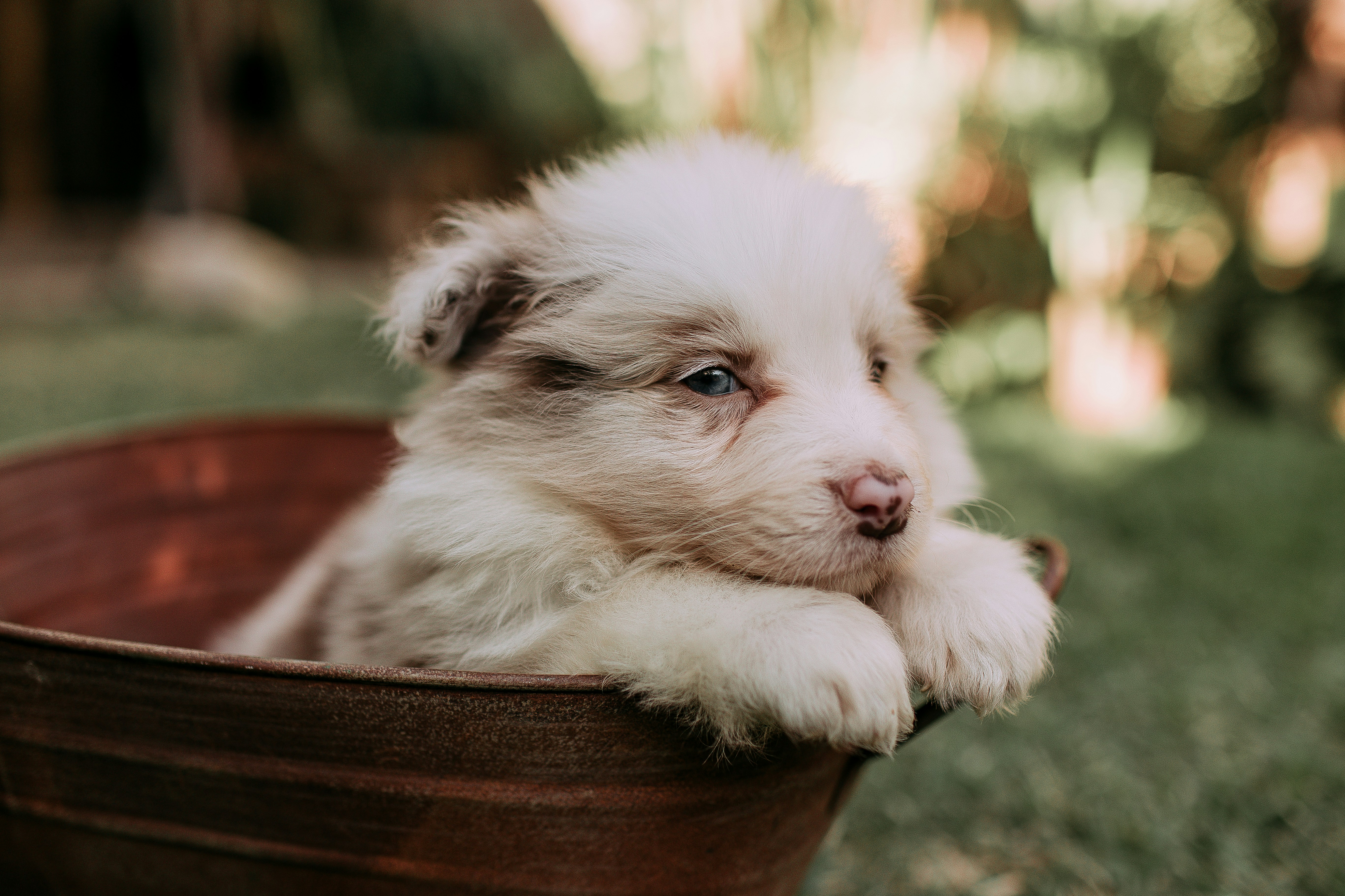 Photo by helenalopesph