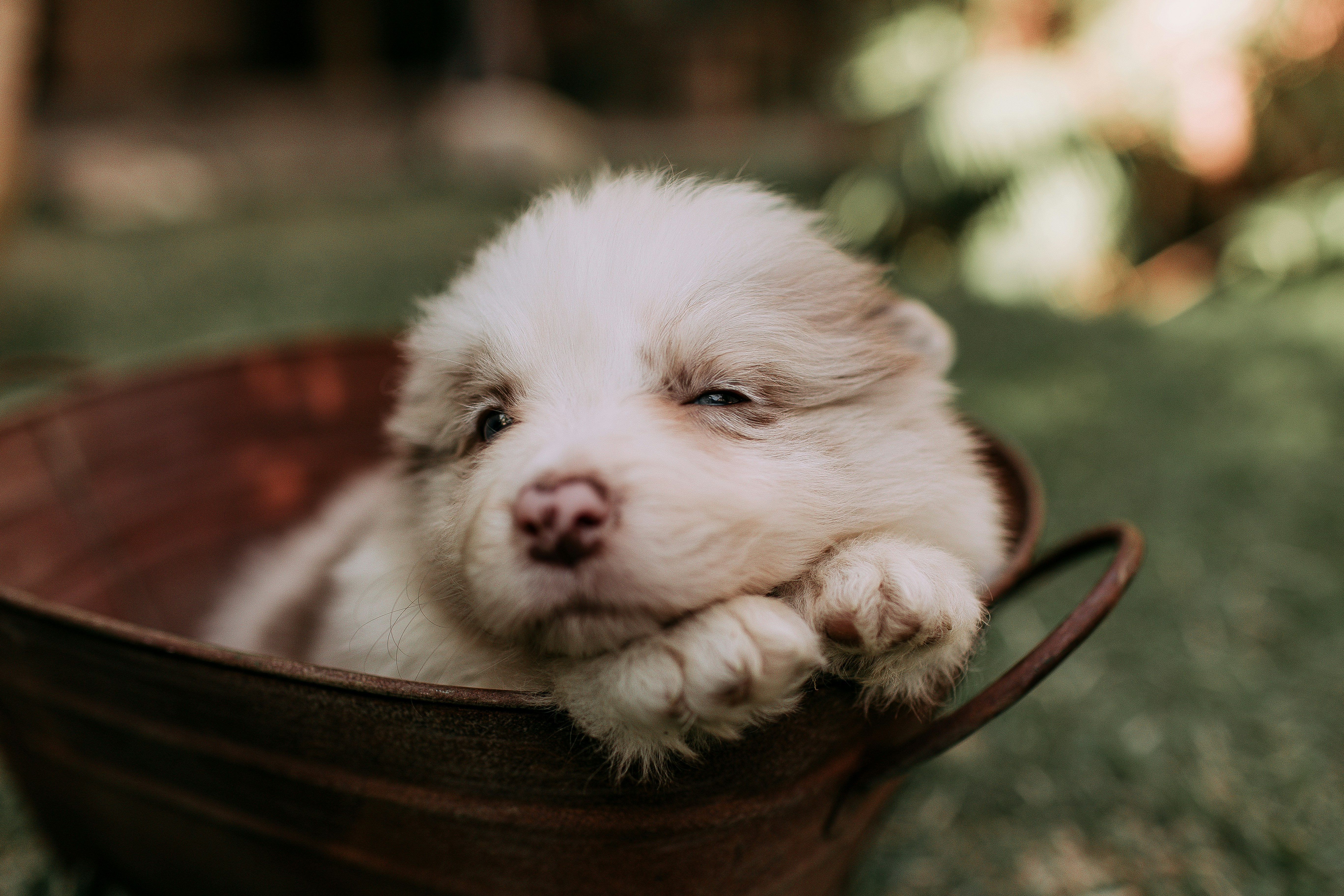 Photo by helenalopesph