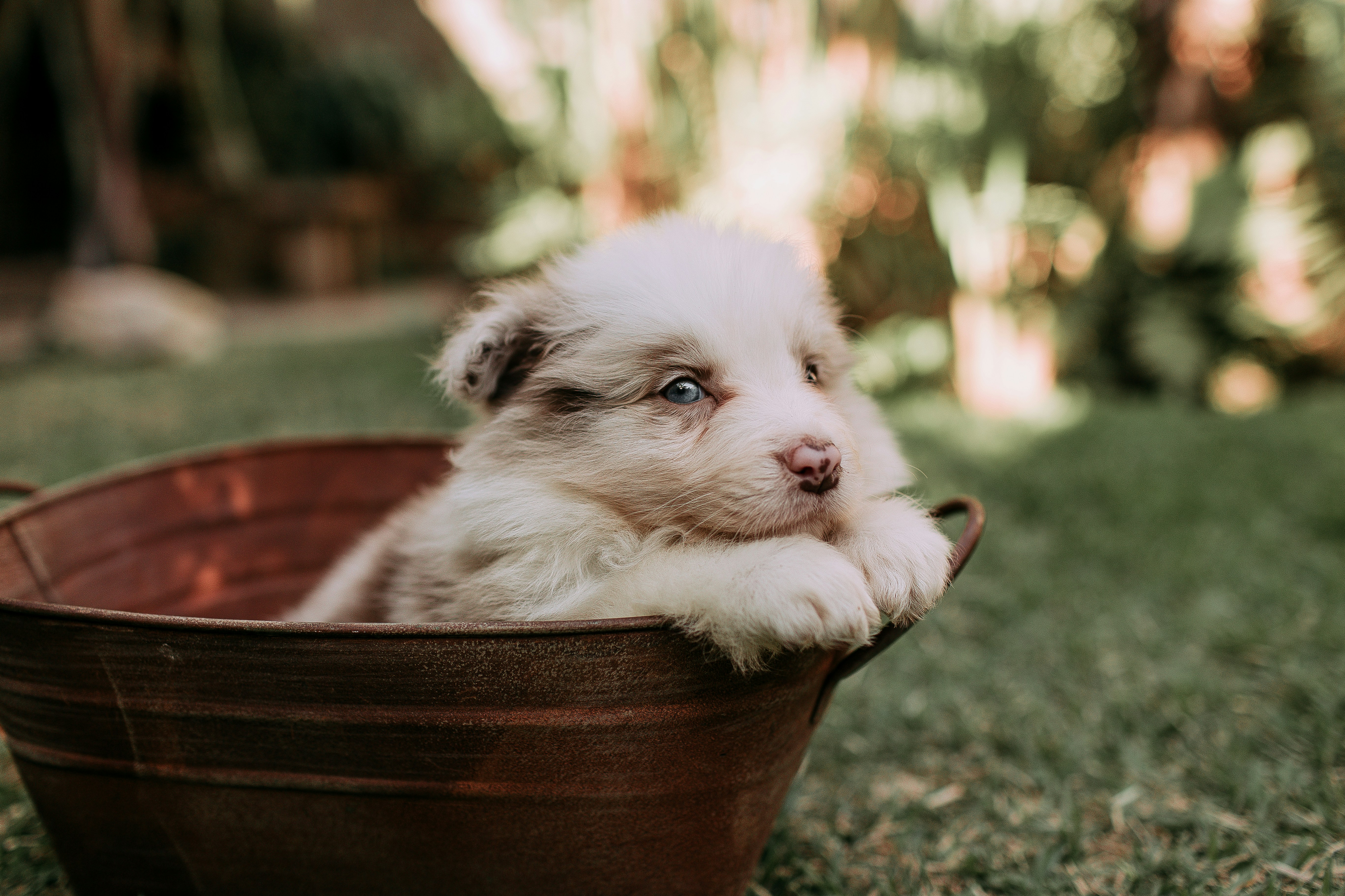 Photo by helenalopesph