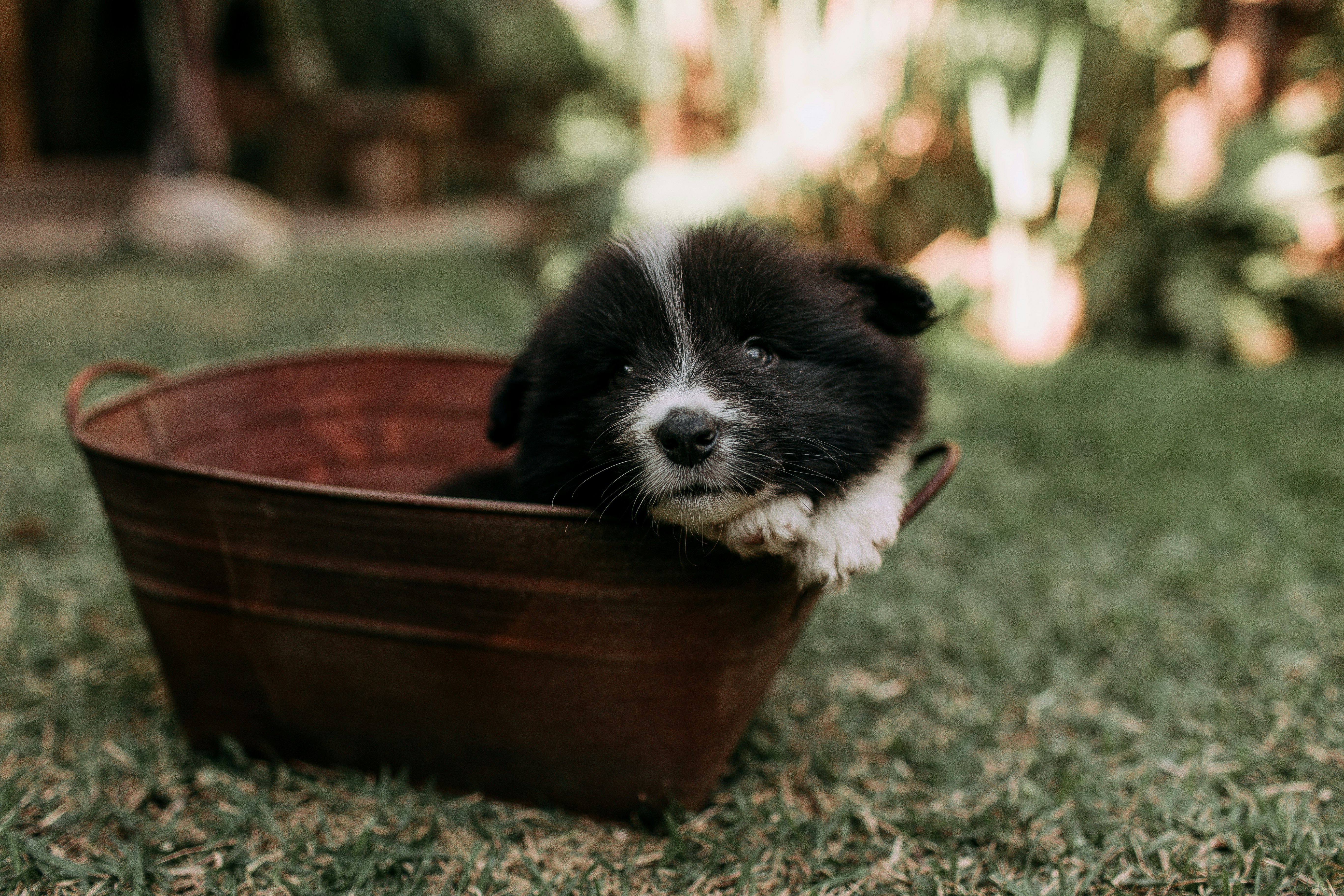 Photo by helenalopesph