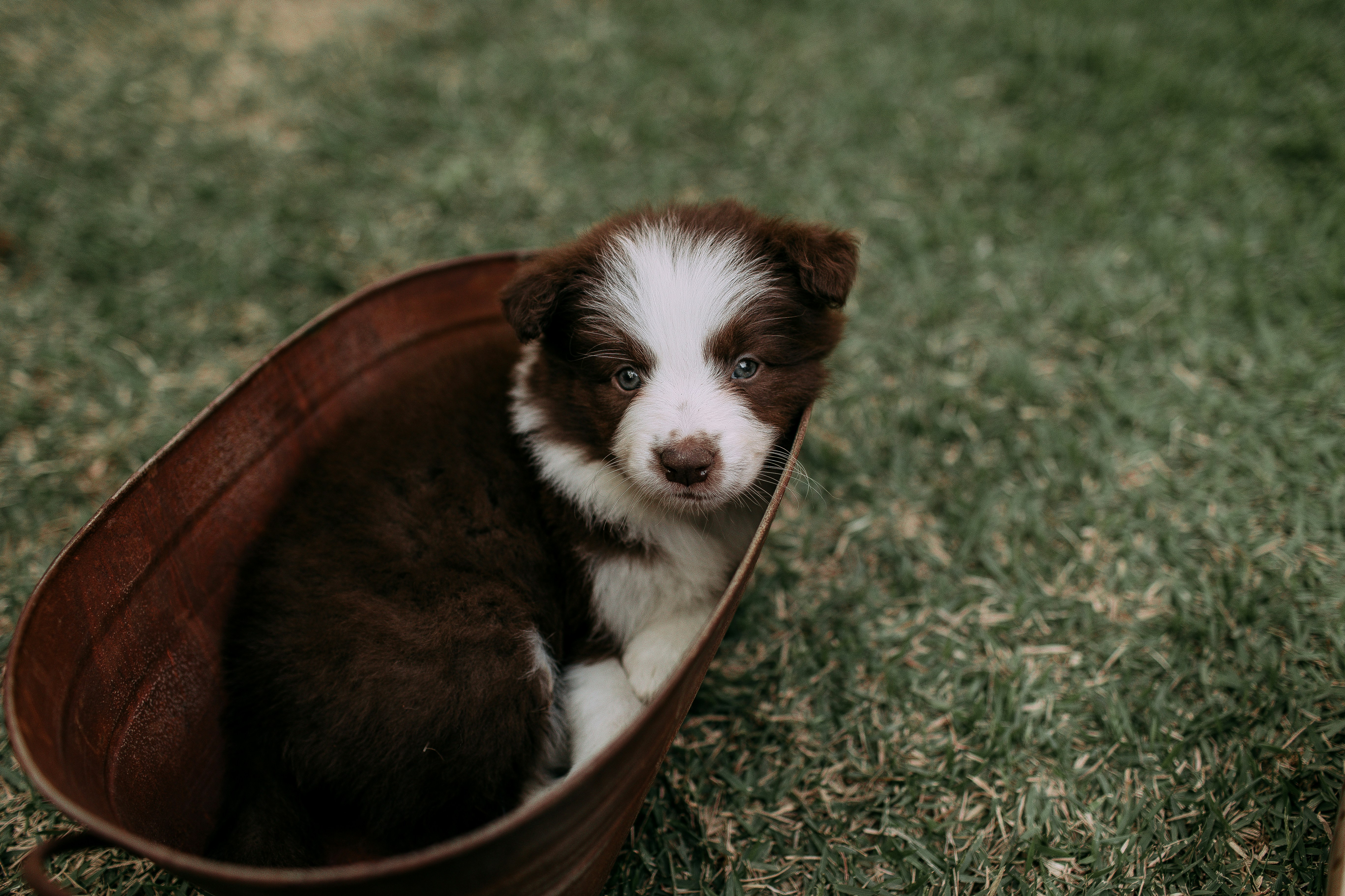 Photo by helenalopesph