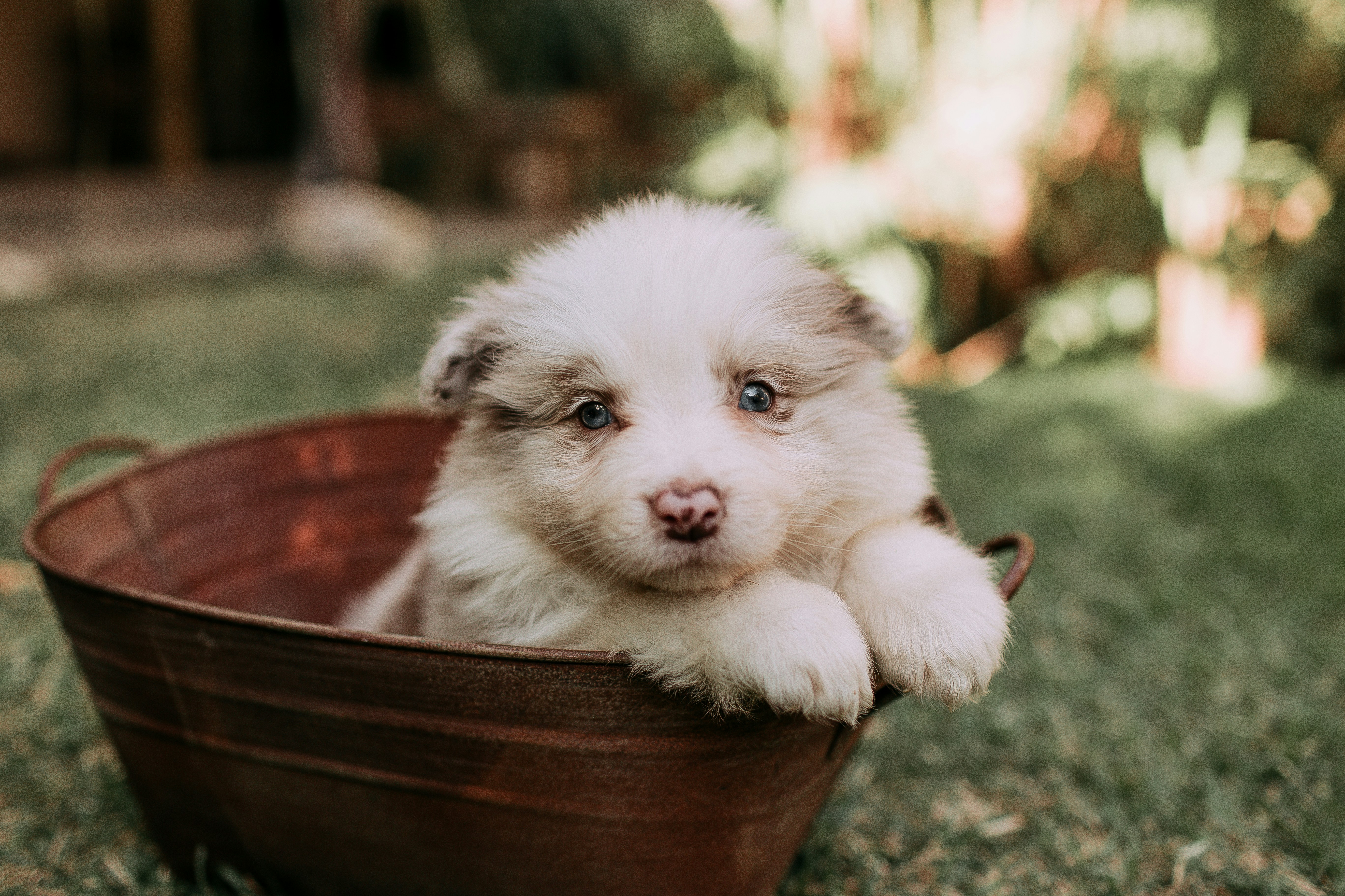 Photo by helenalopesph