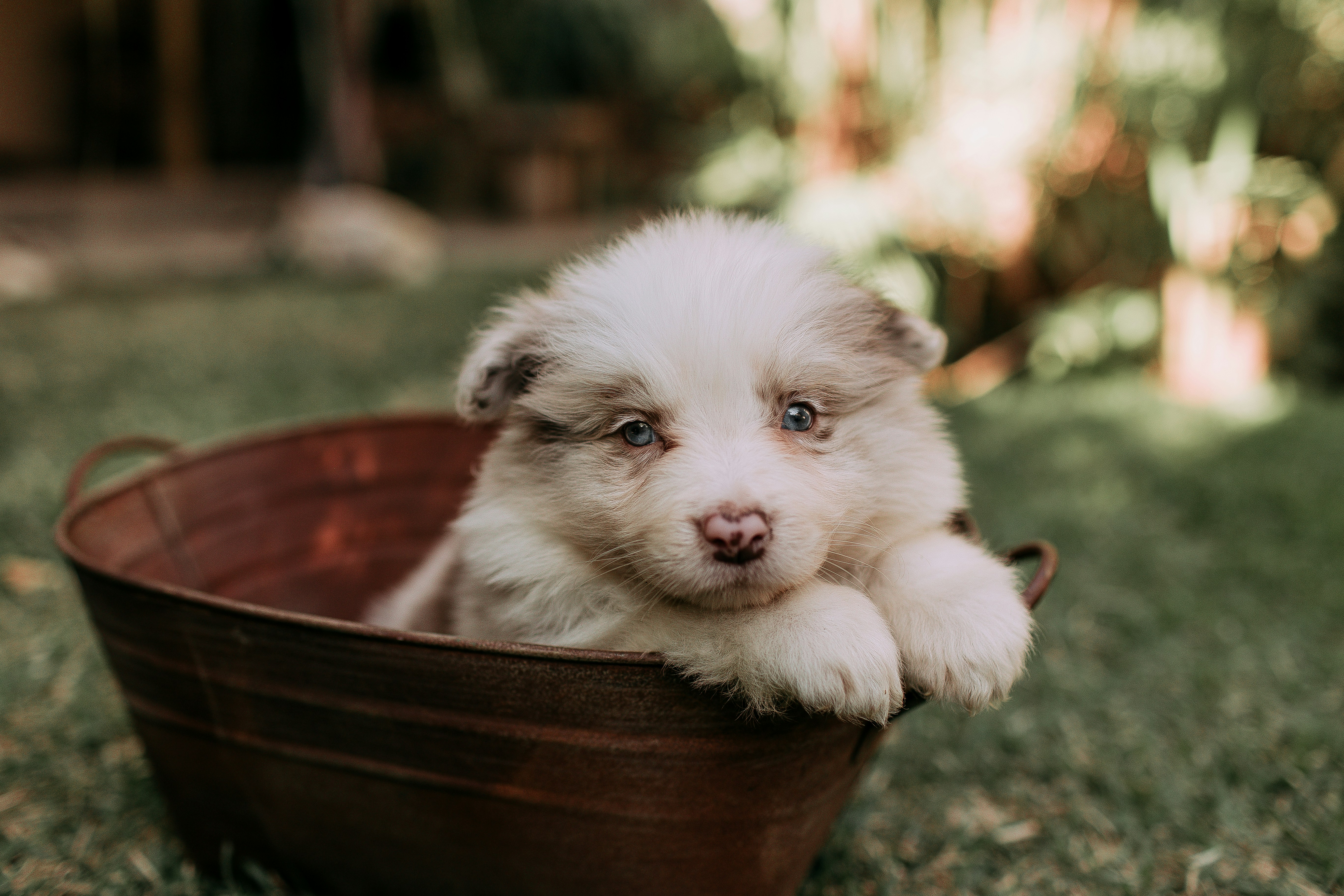 Photo by helenalopesph